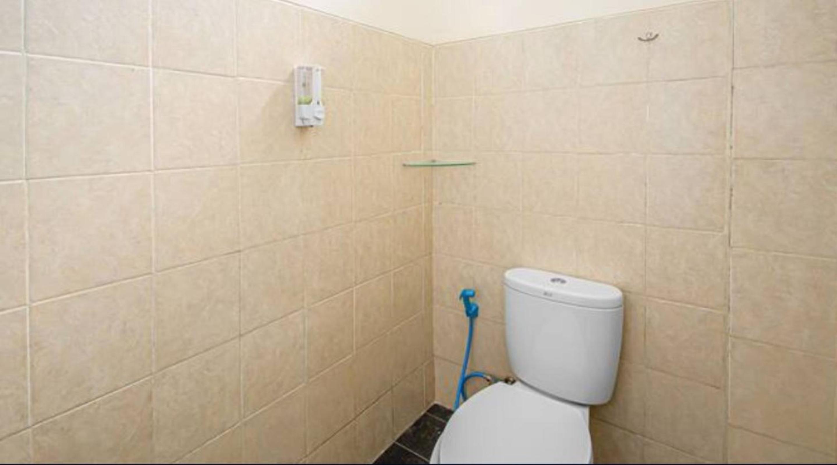 Single Room photo 2