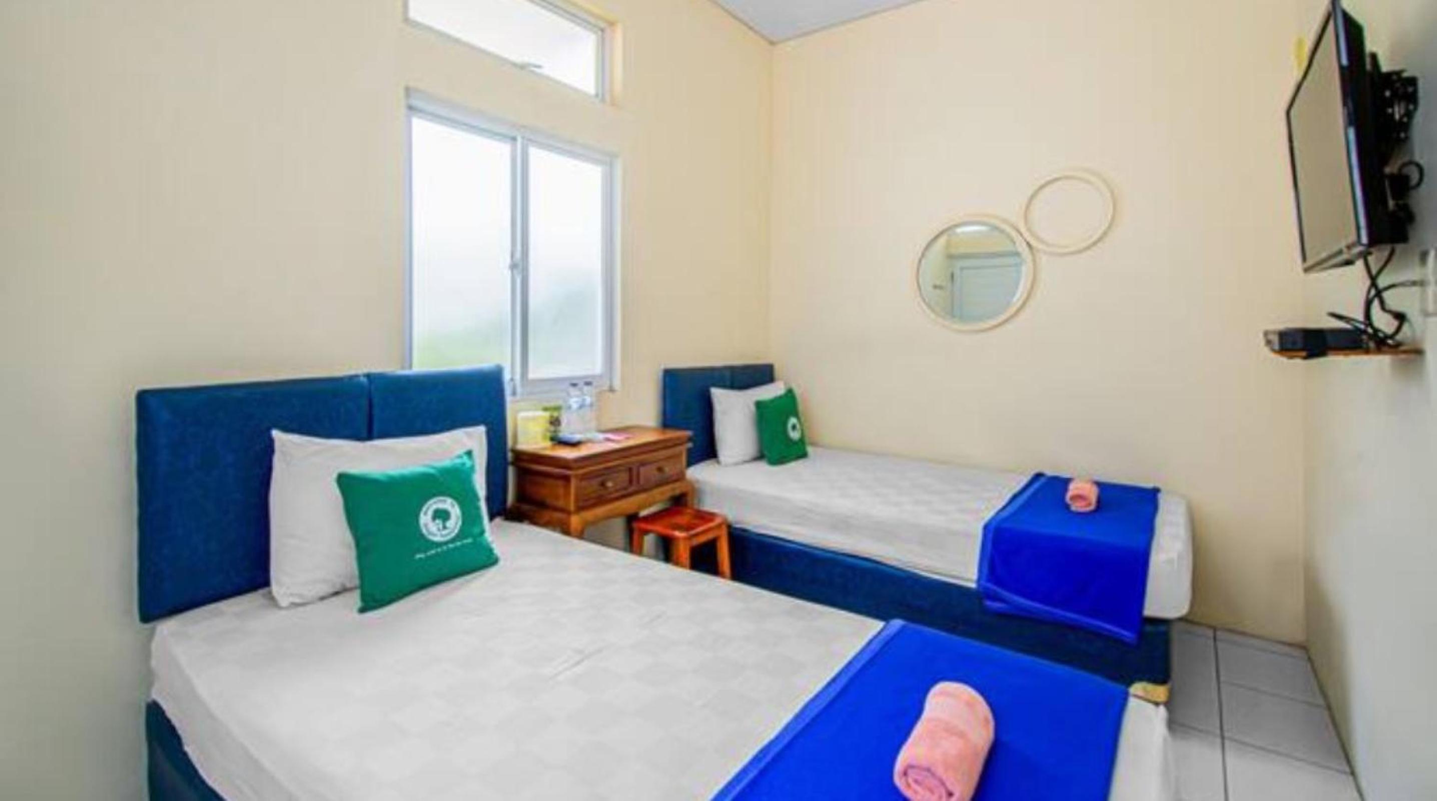 Twin Room photo 2