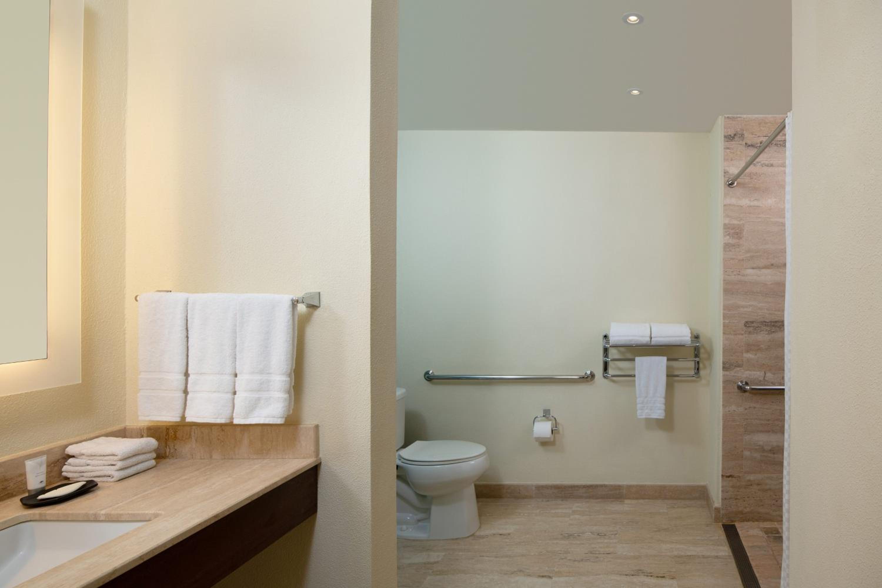 Traditional, Guest room, 1 King
