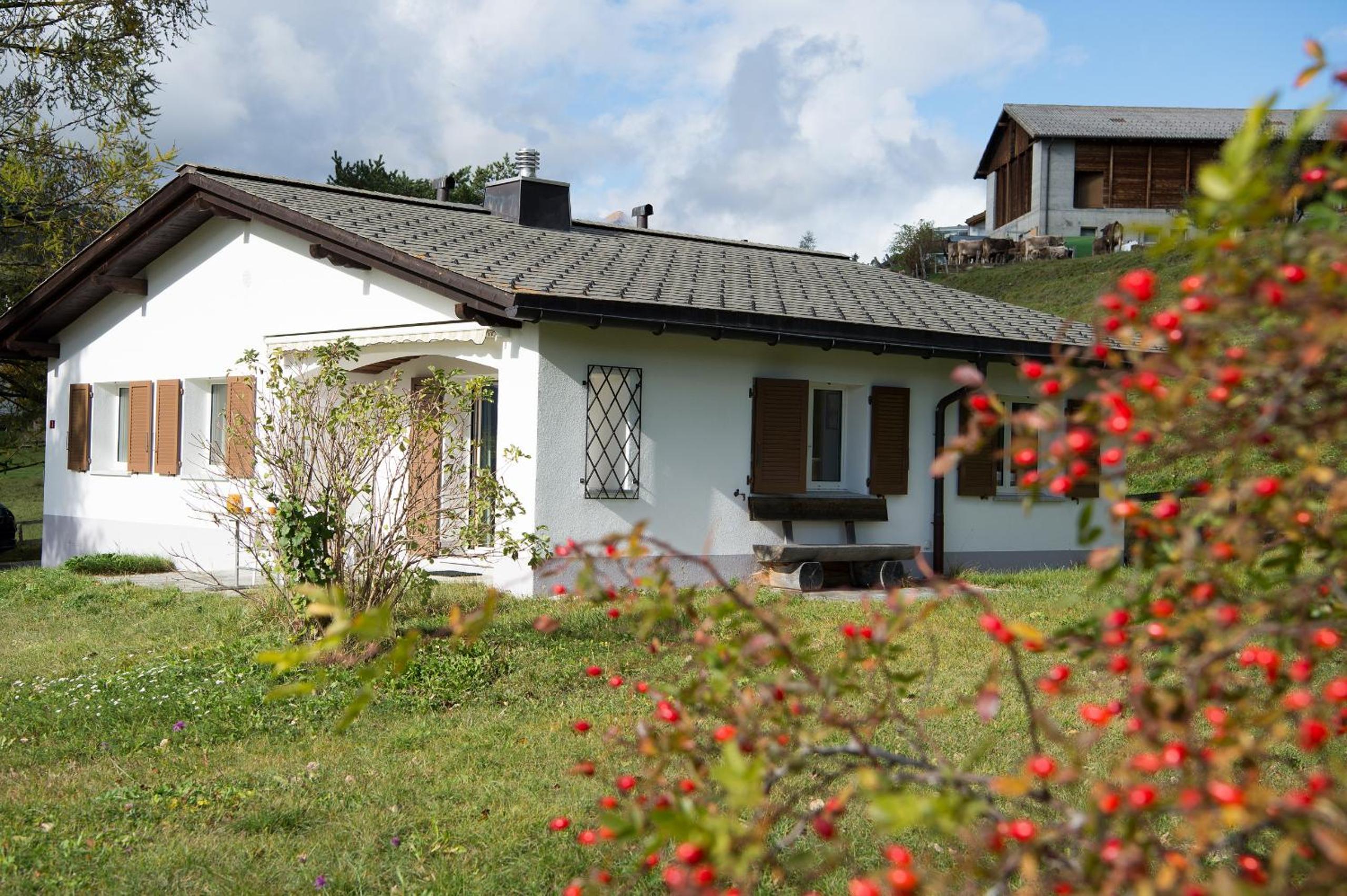 Three-Bedroom House photo 1