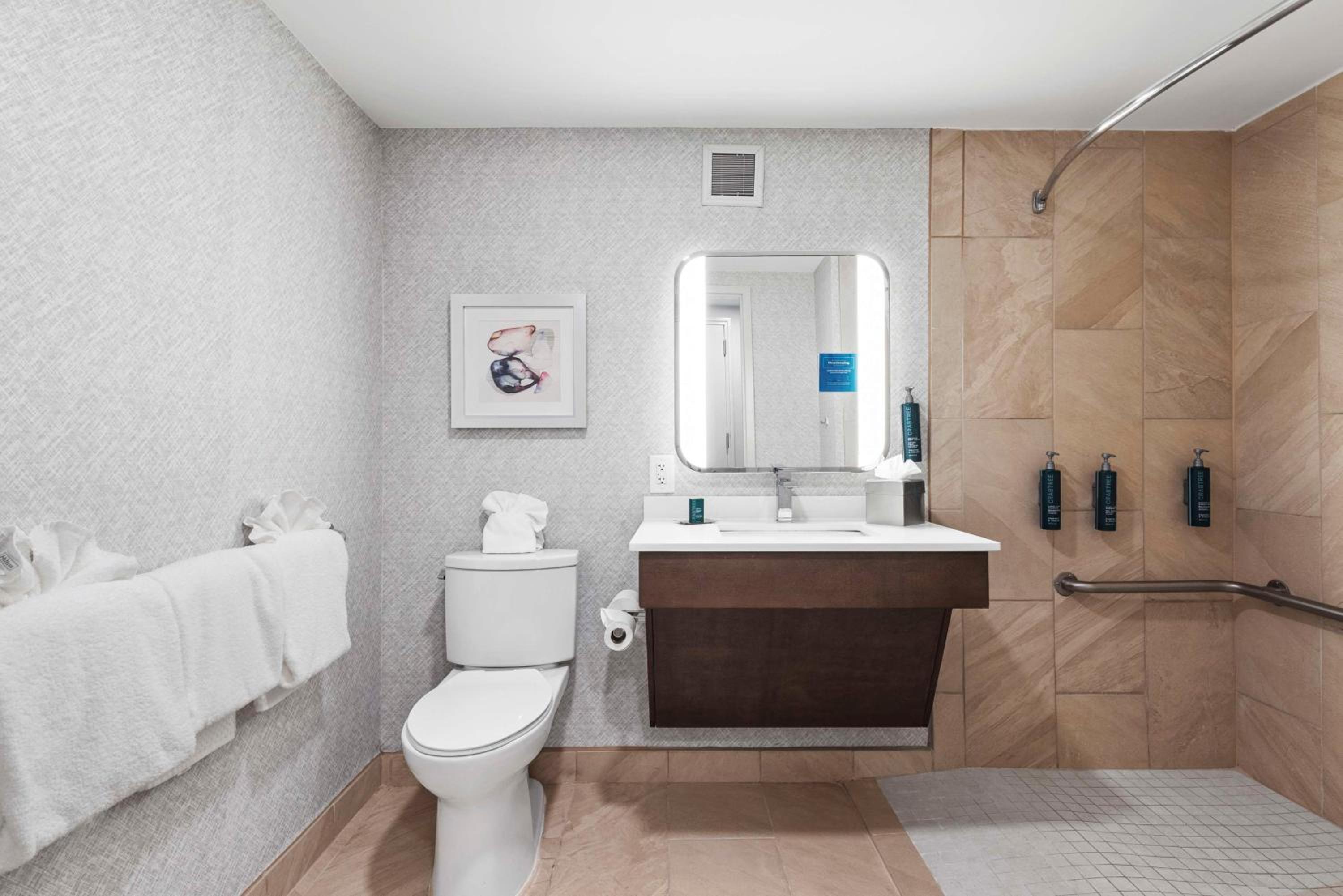Room with Full Bed and Roll-In Shower - Mobility Accessible - Non-Smoking - Photo 4