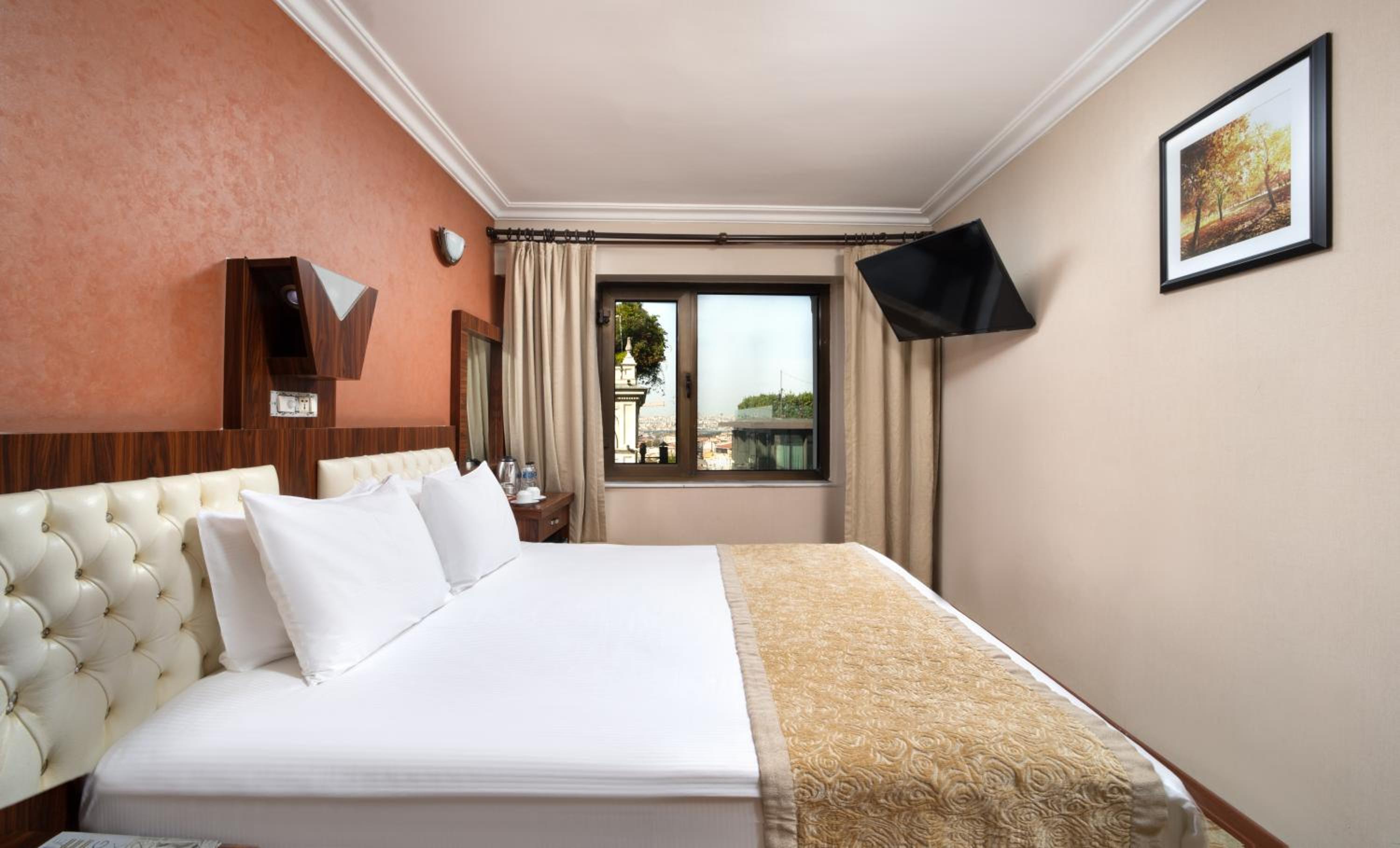 Standard Double or Twin Room photo 2