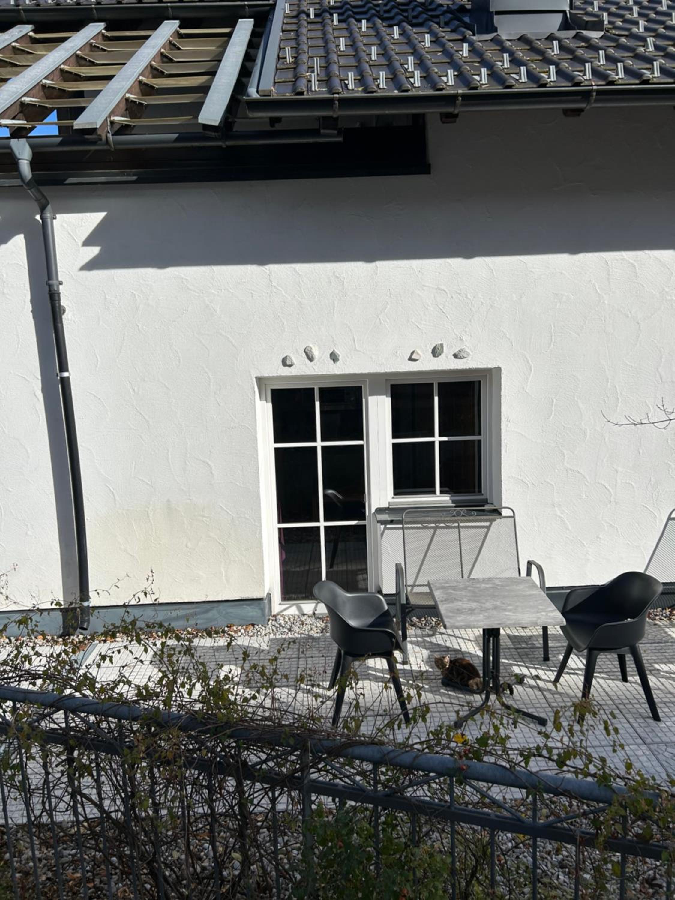 Apartment with Terrace photo 3