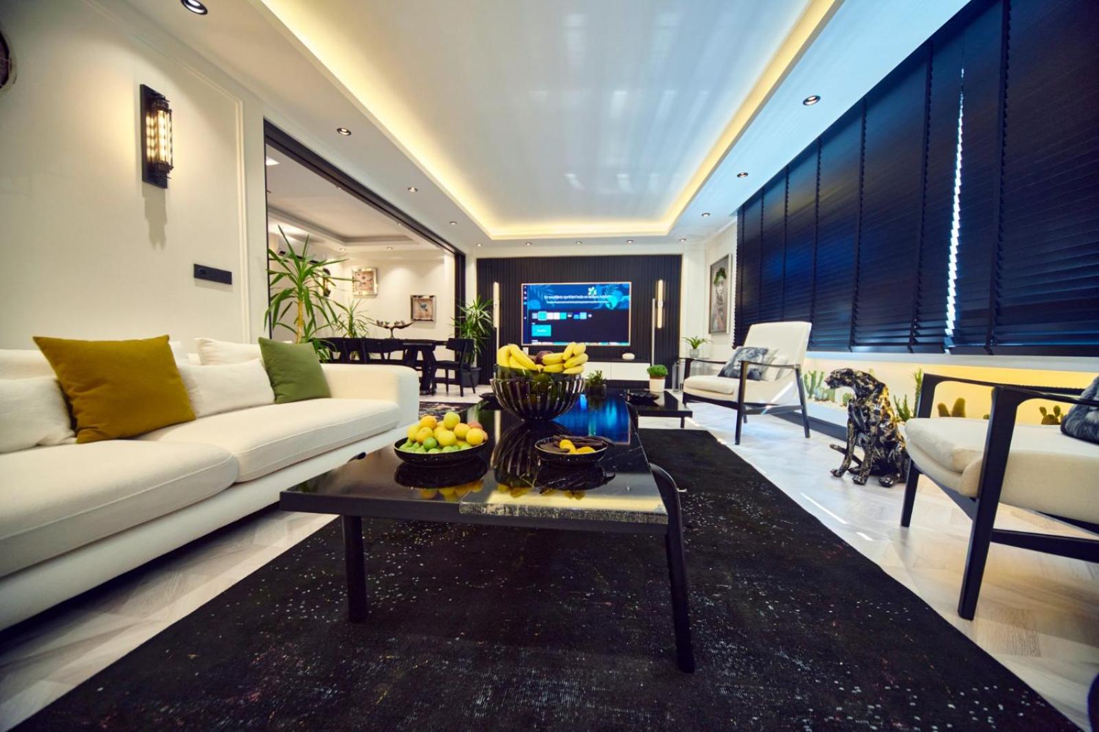 Penthouse Apartment photo 1
