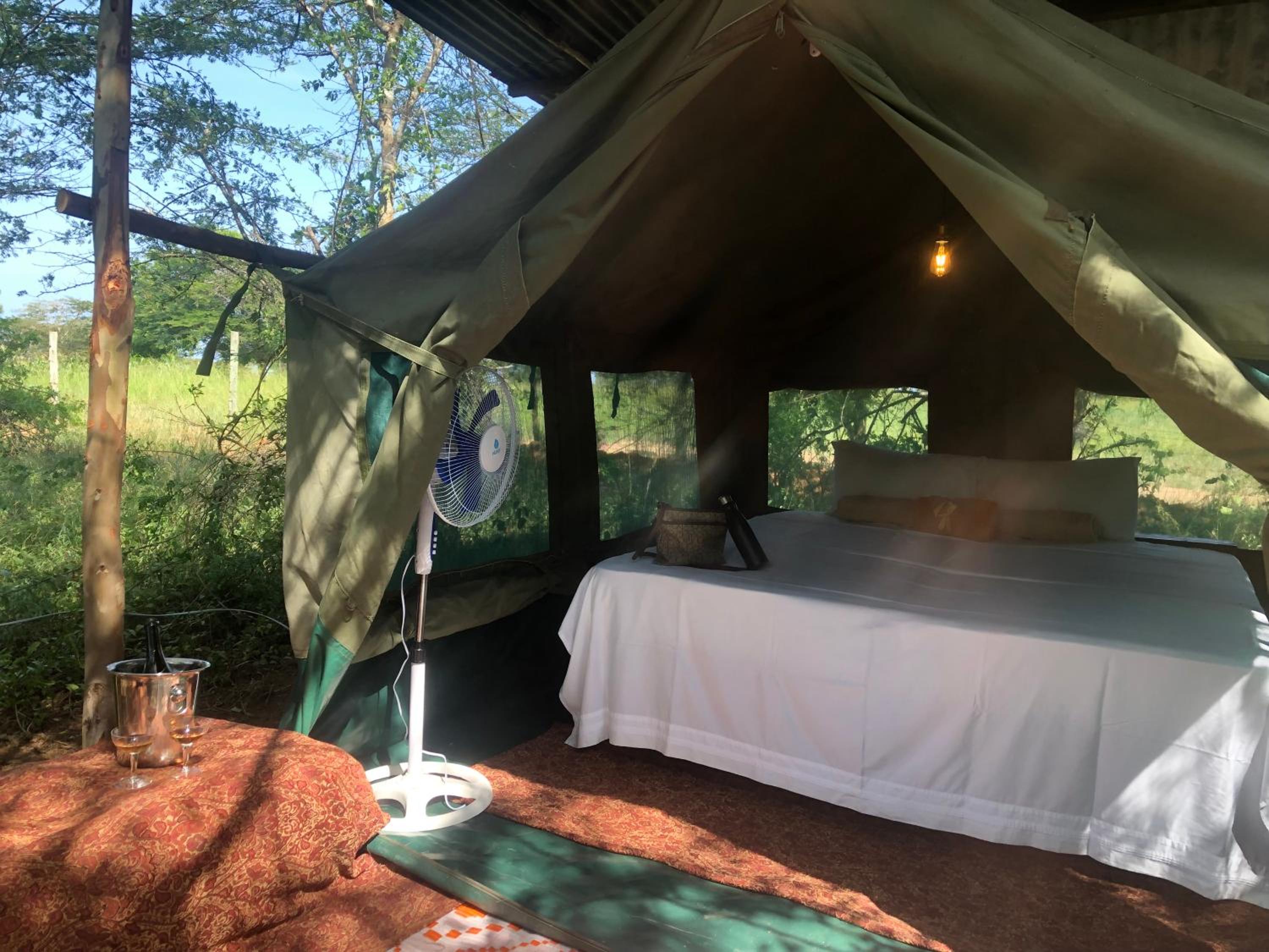 Tent photo 1