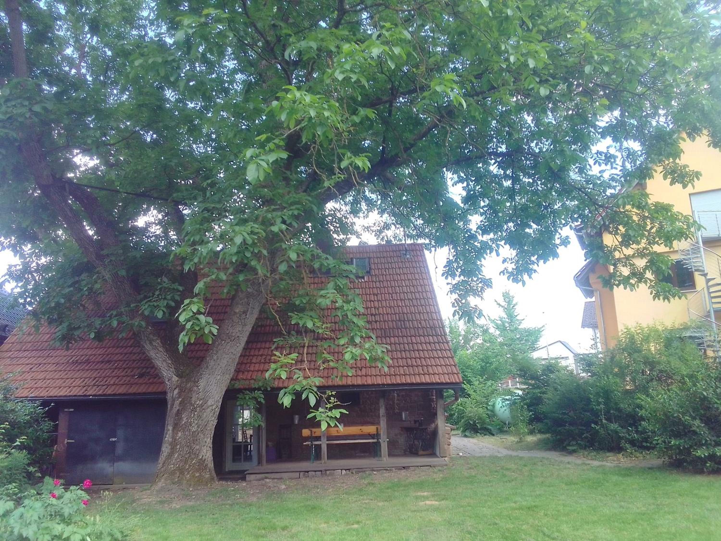 Two-Bedroom House photo 3