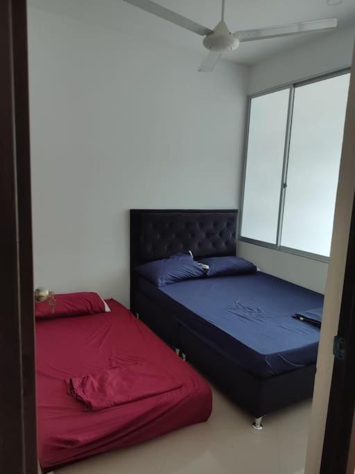 One-Bedroom House photo 2