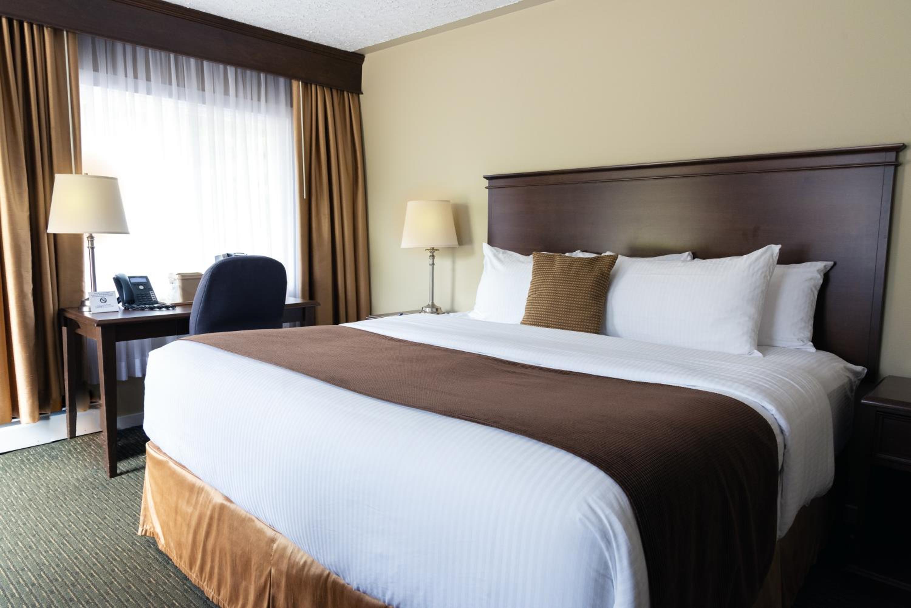 King Room photo 1