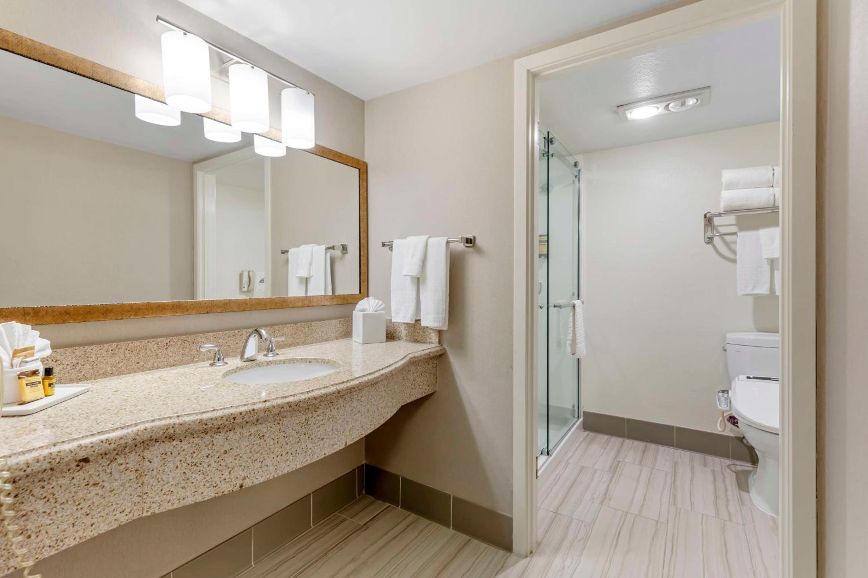 King Suite - Non-Smoking - Photo 4