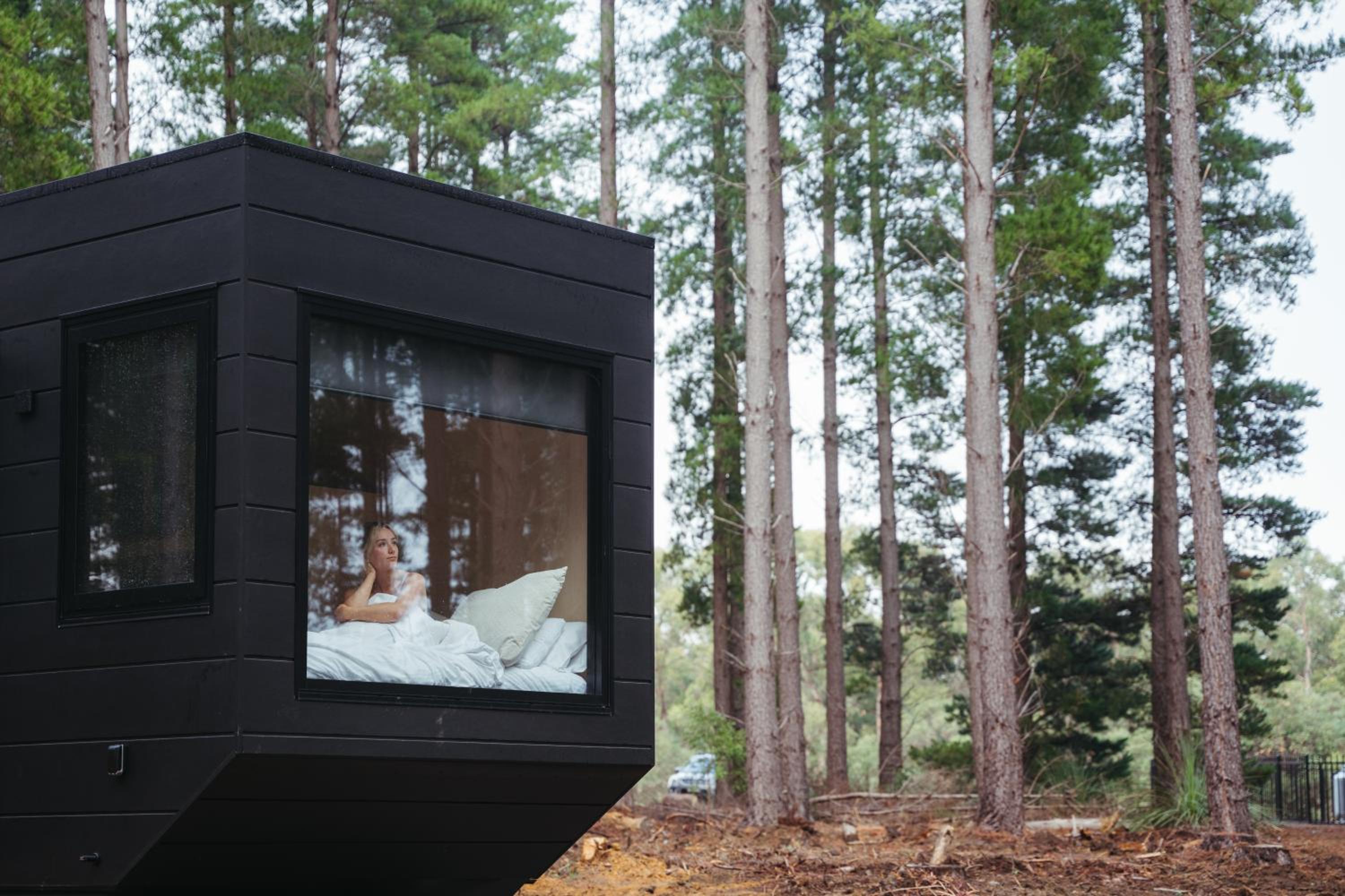 Eco Cabin photo 3