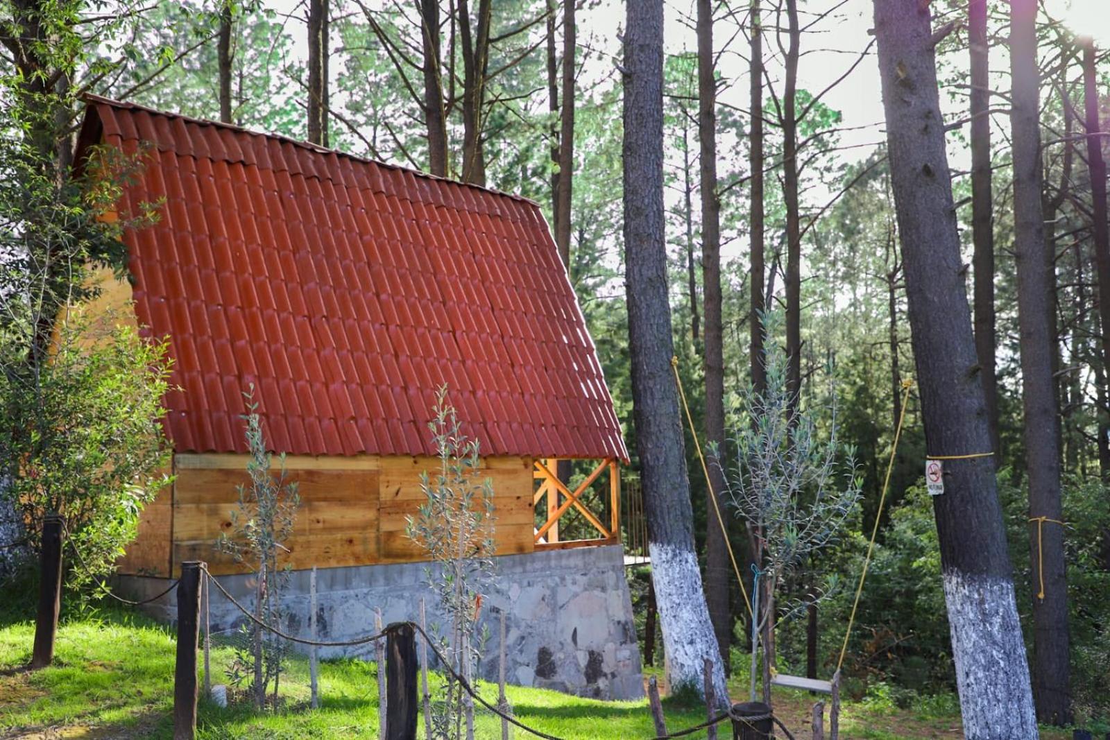 One-Bedroom Chalet photo 2