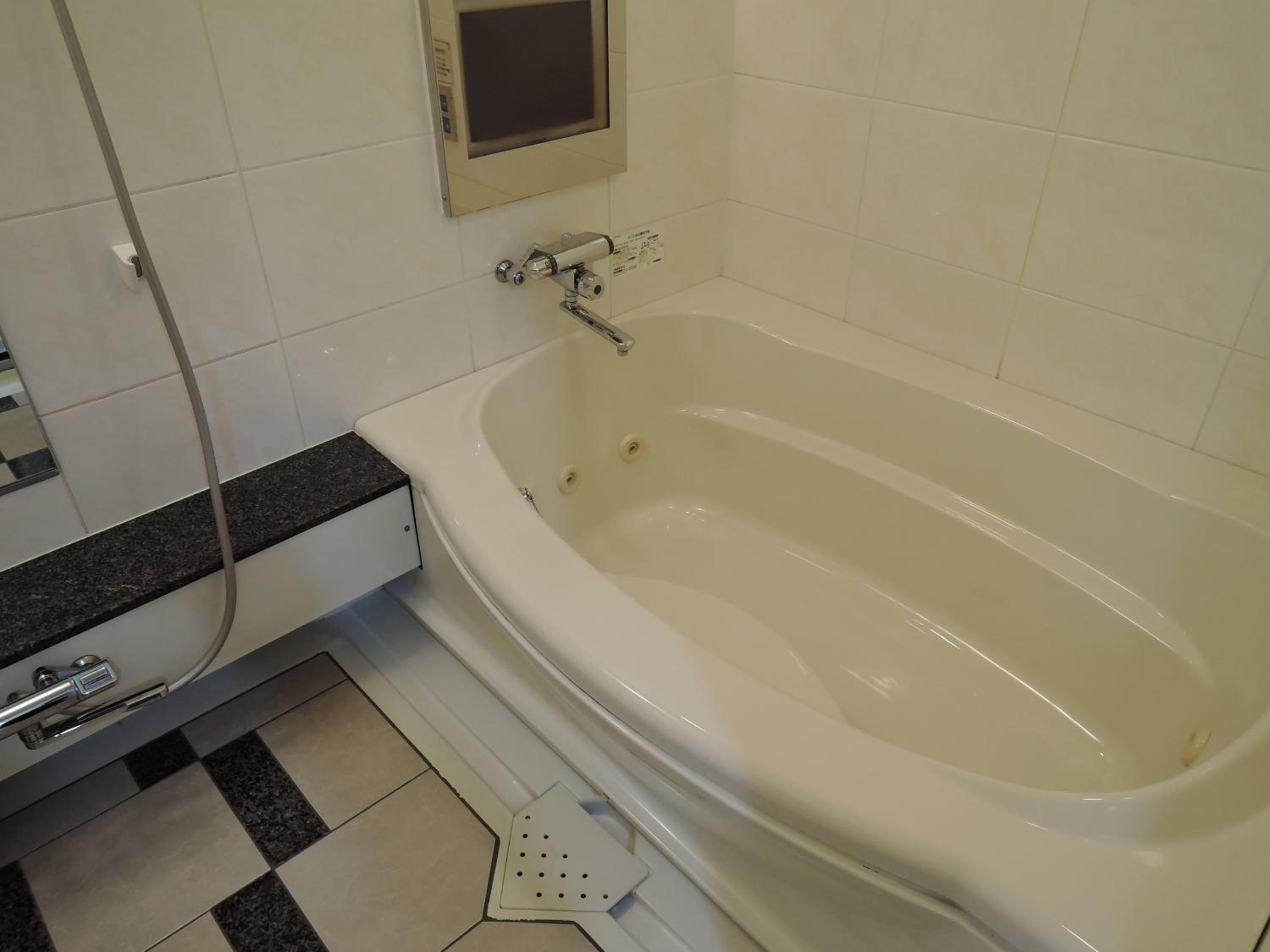 Deluxe Room photo 2
