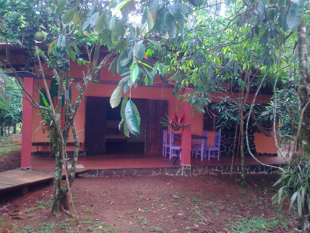 One-Bedroom Bungalow photo 2