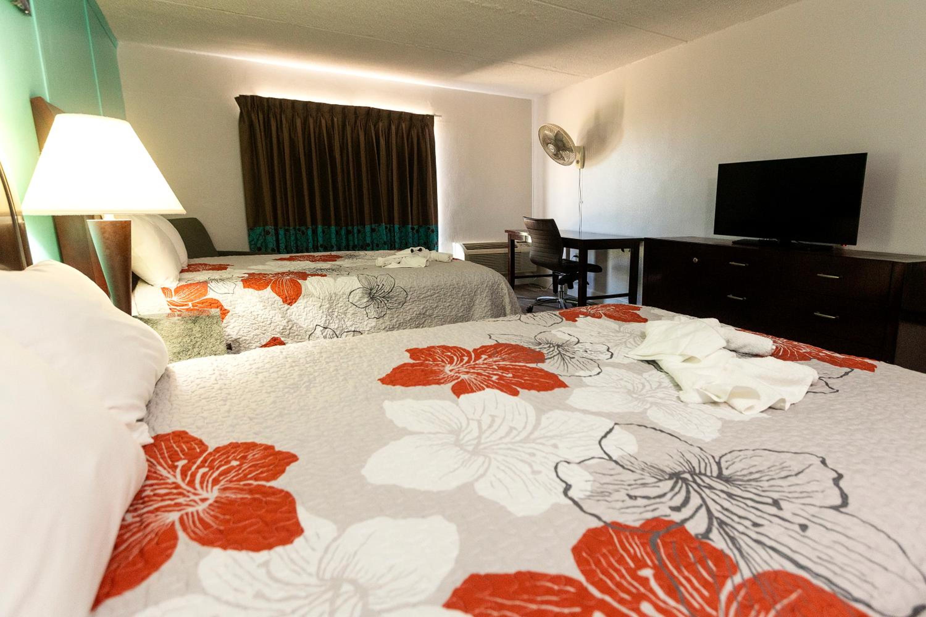 Deluxe Double Room - Photo 3