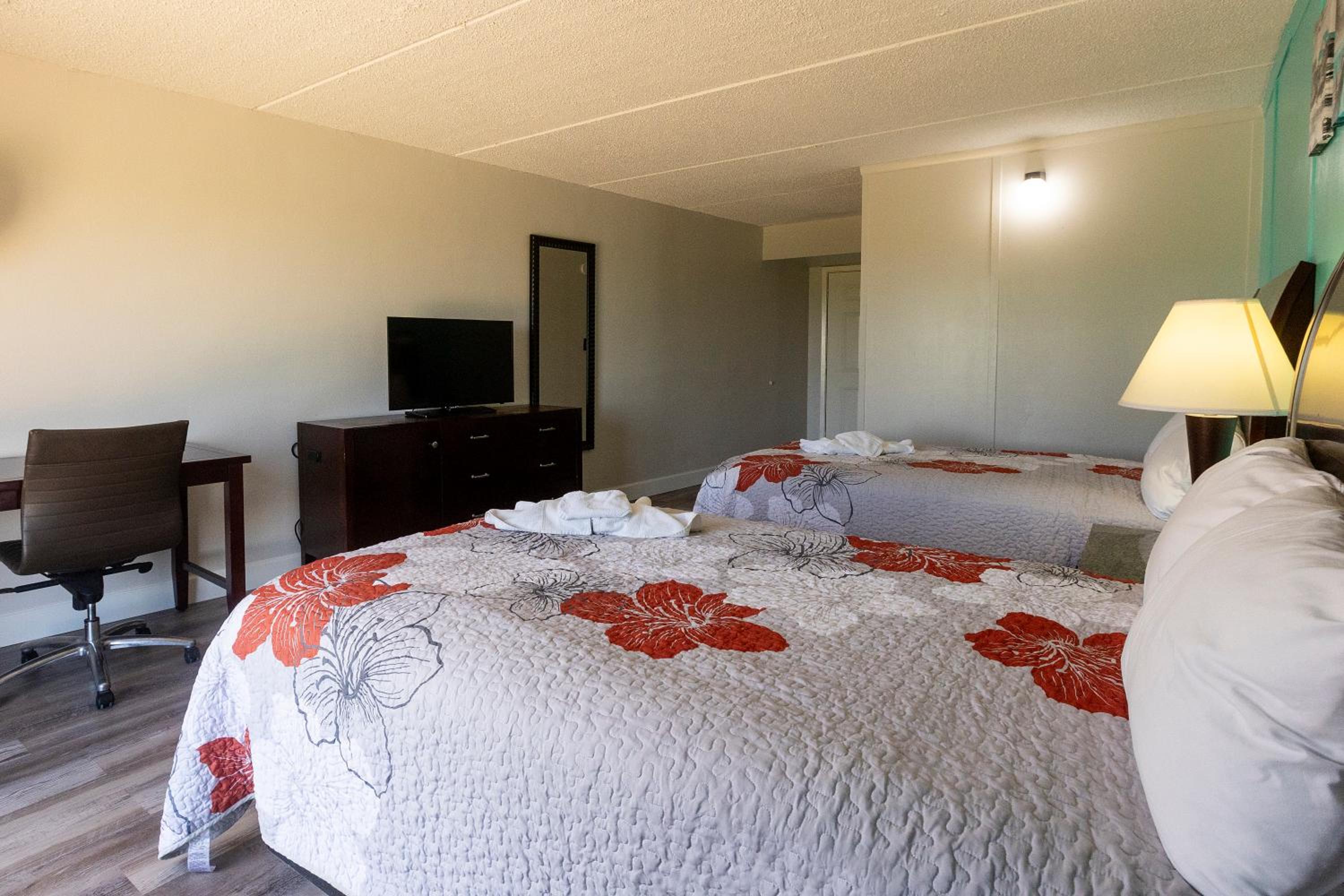 Deluxe Double Room - Photo 5