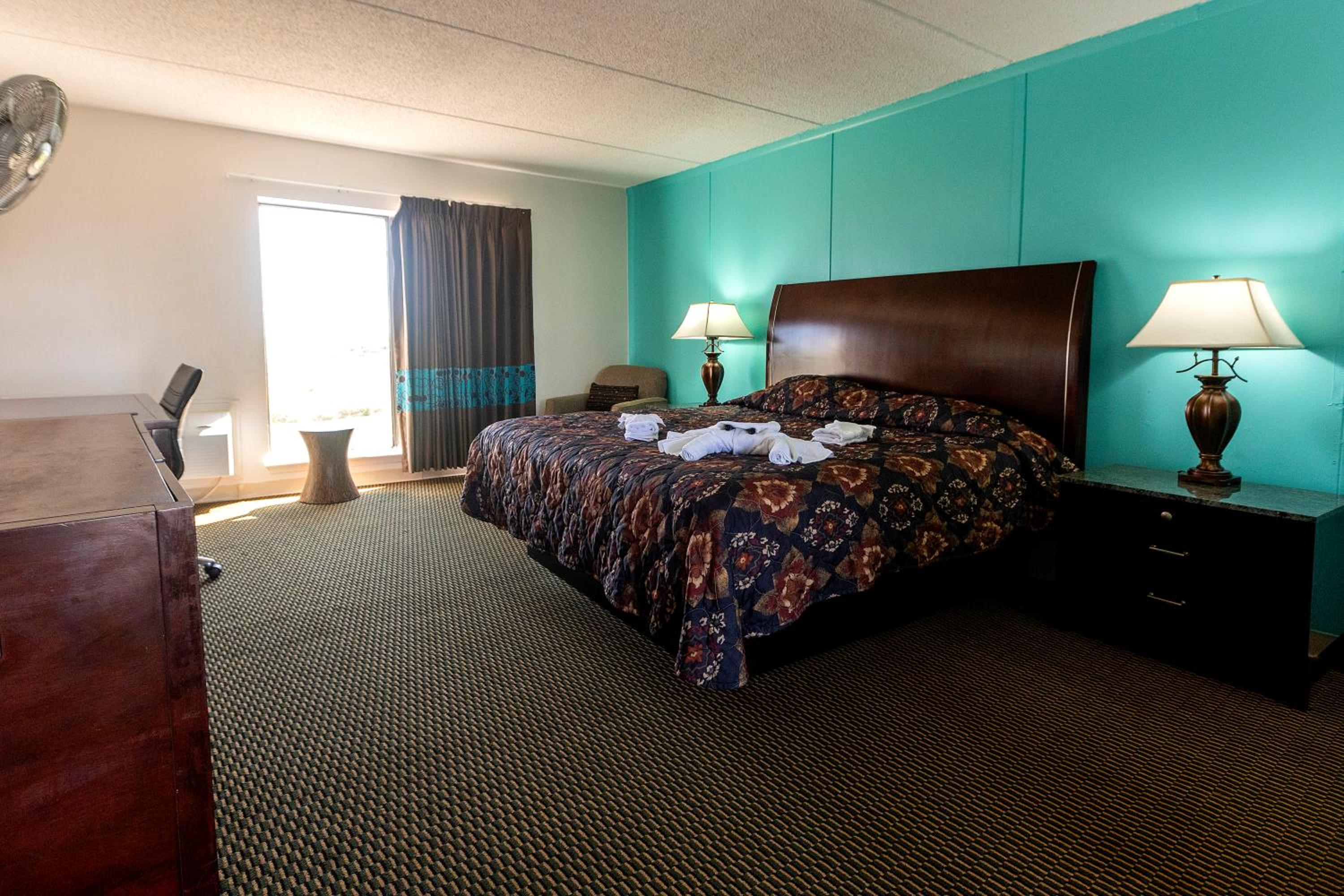 Standard King Room - Photo 6