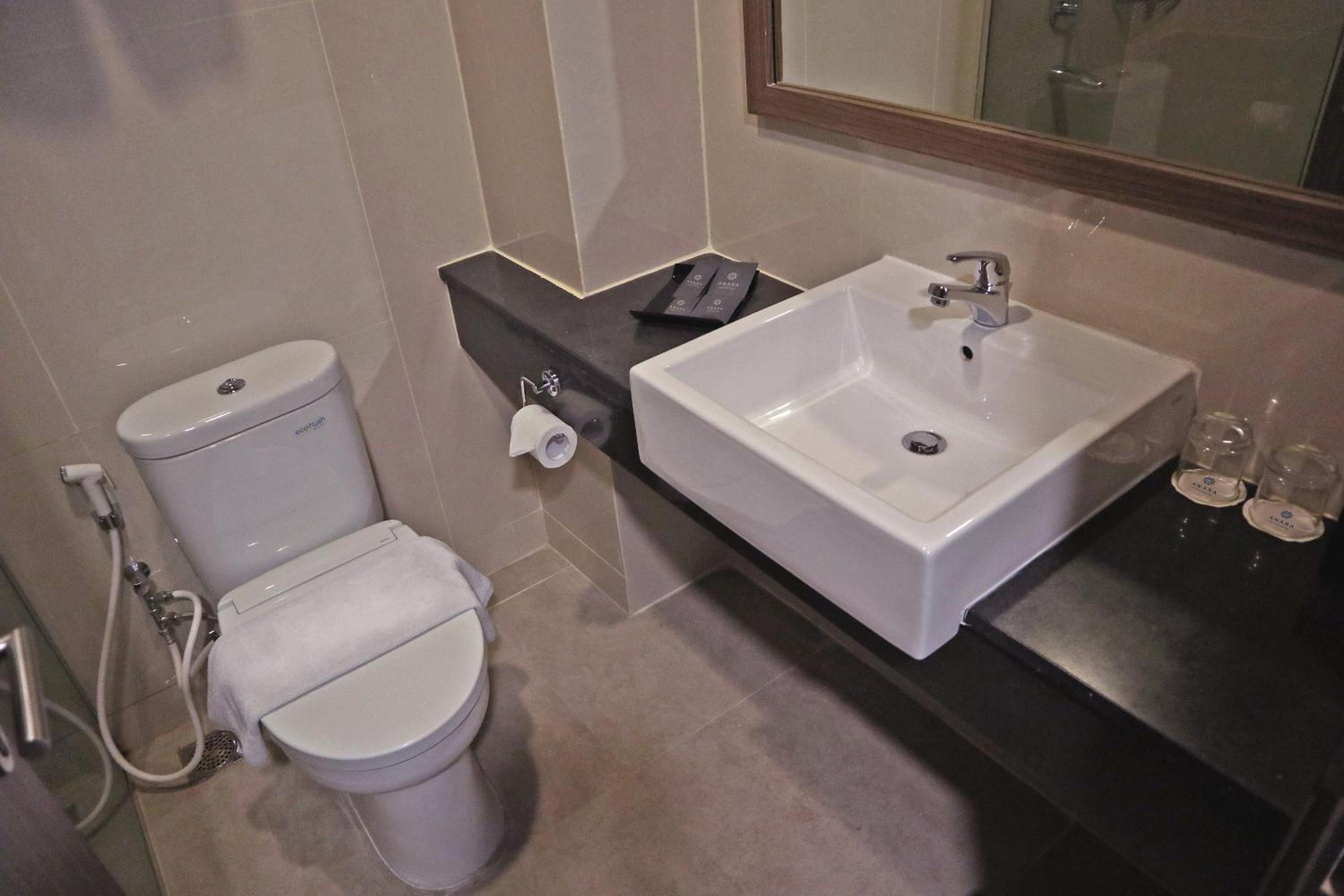 Deluxe Twin Room photo 2