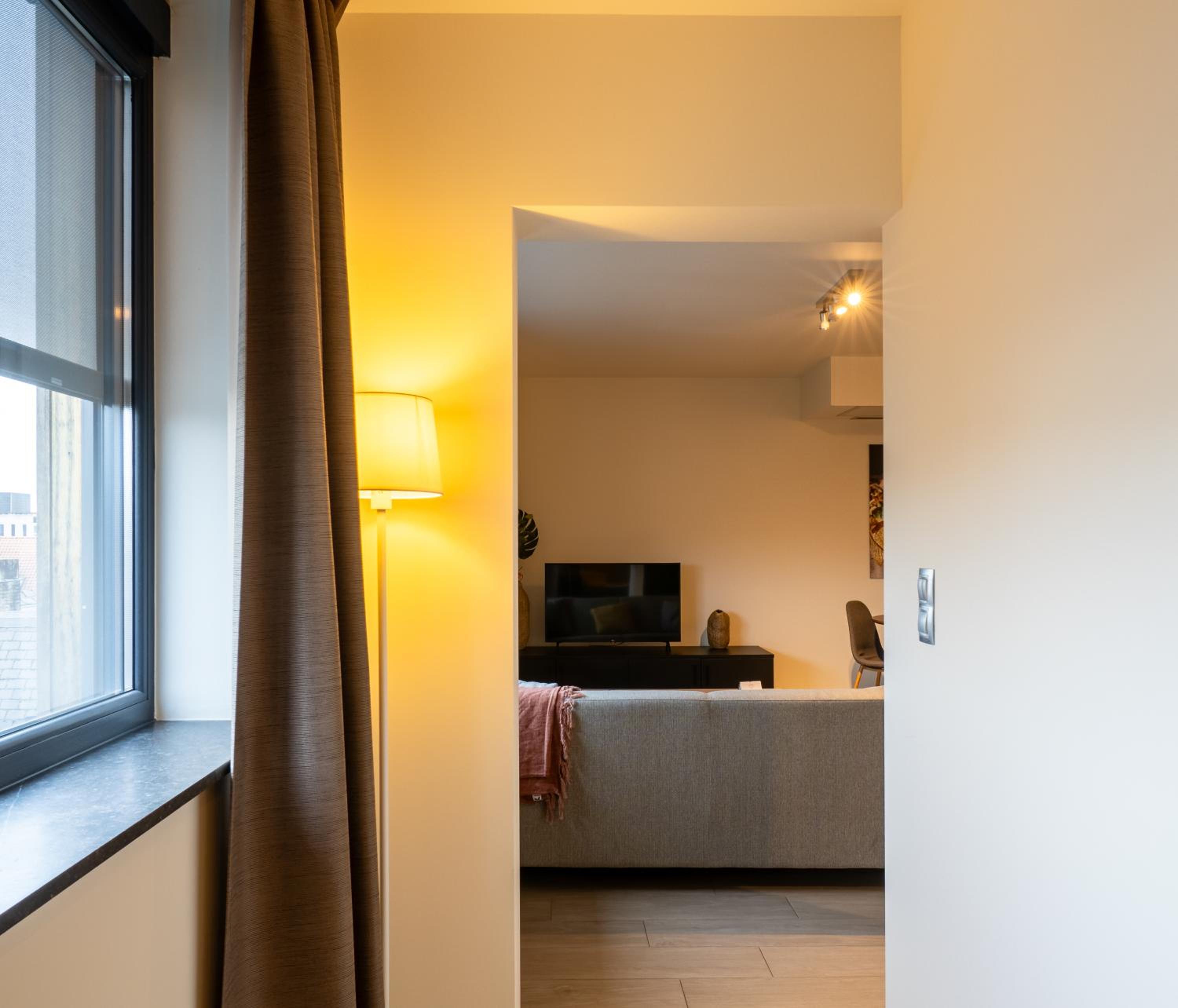 Deluxe Apartment