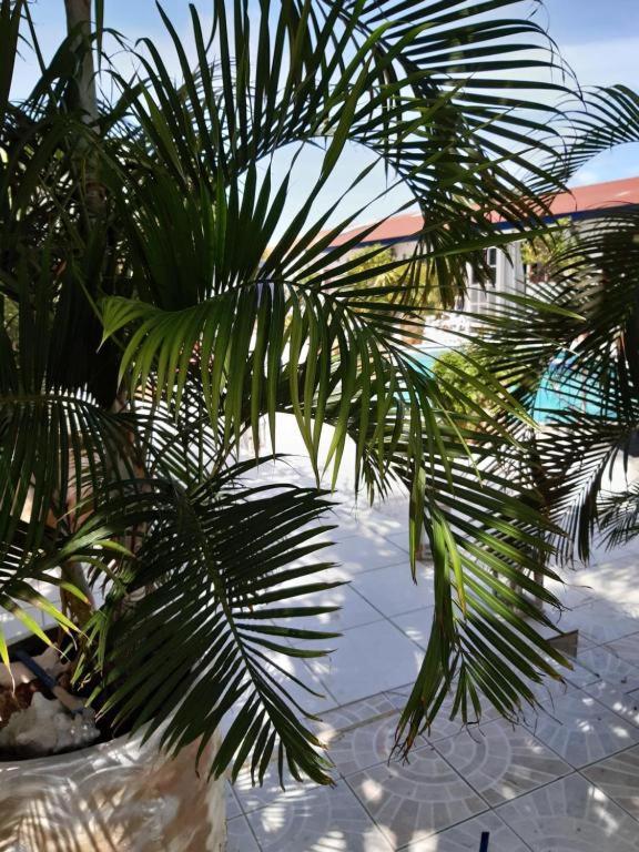 Junior Suite with Pool View photo 3