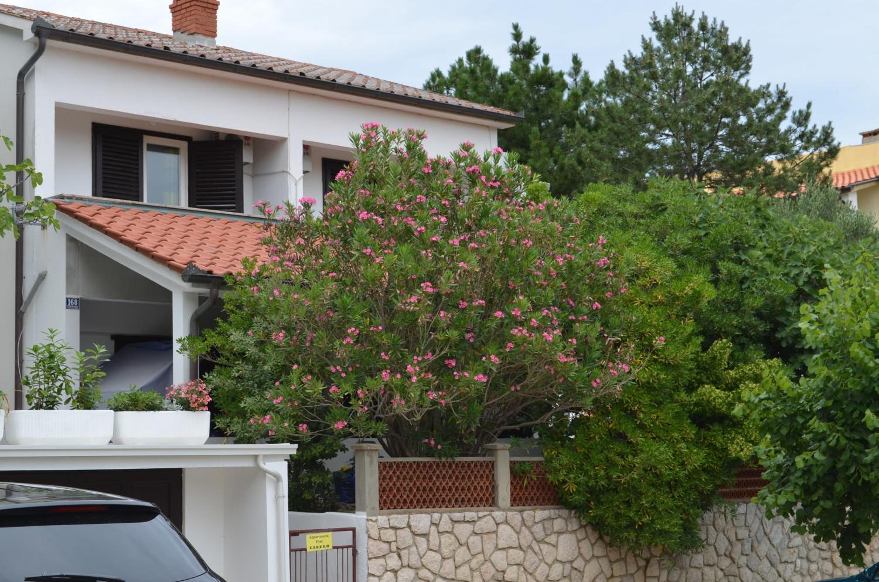 Studio with Balcony photo 2