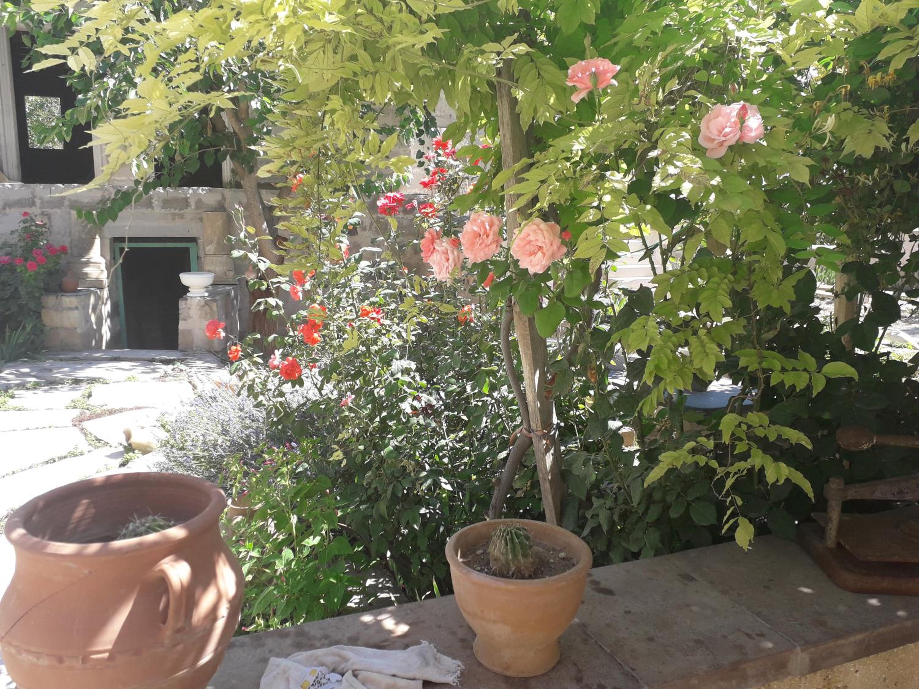 Triple Room with Garden View photo 3