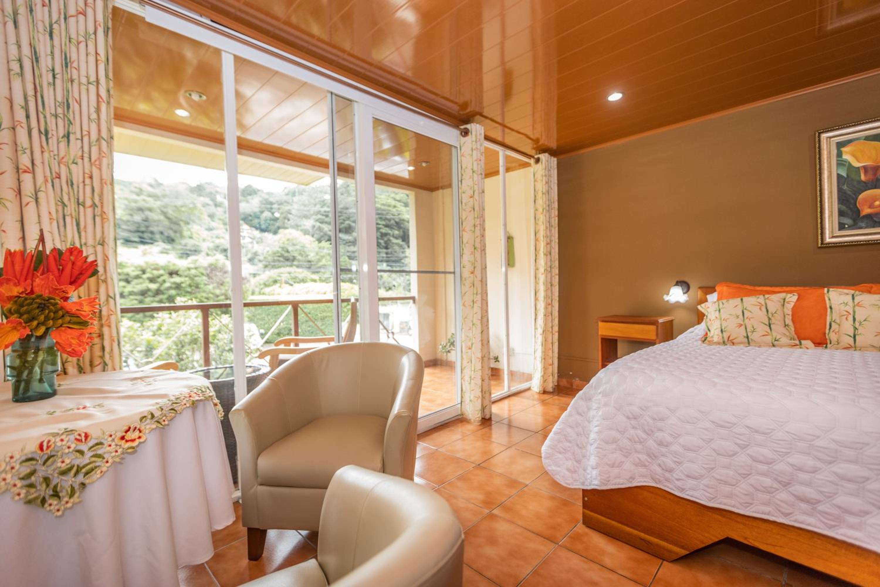 Studio with Garden View photo 2