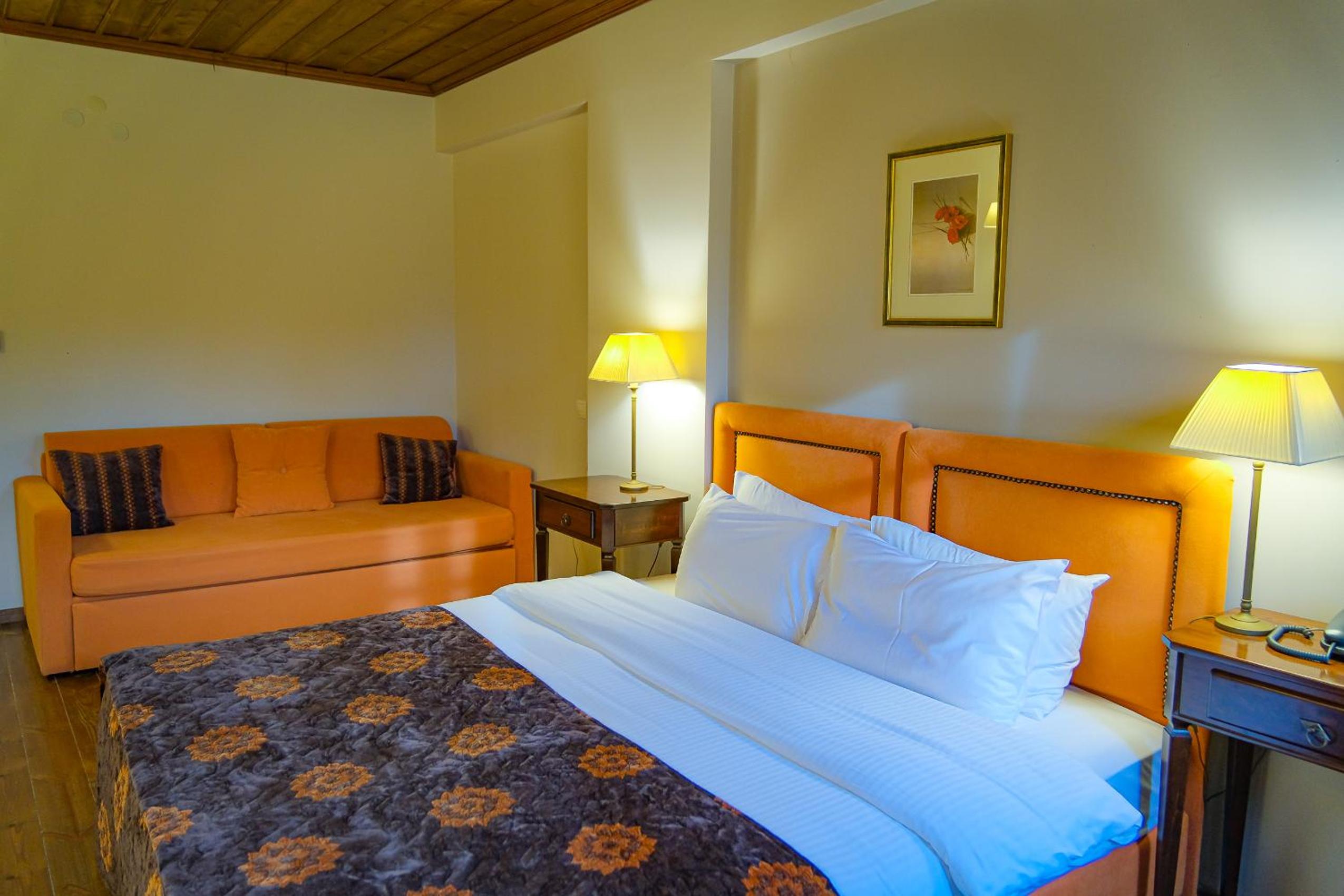 Junior Suite with Mountain View - Photo 16