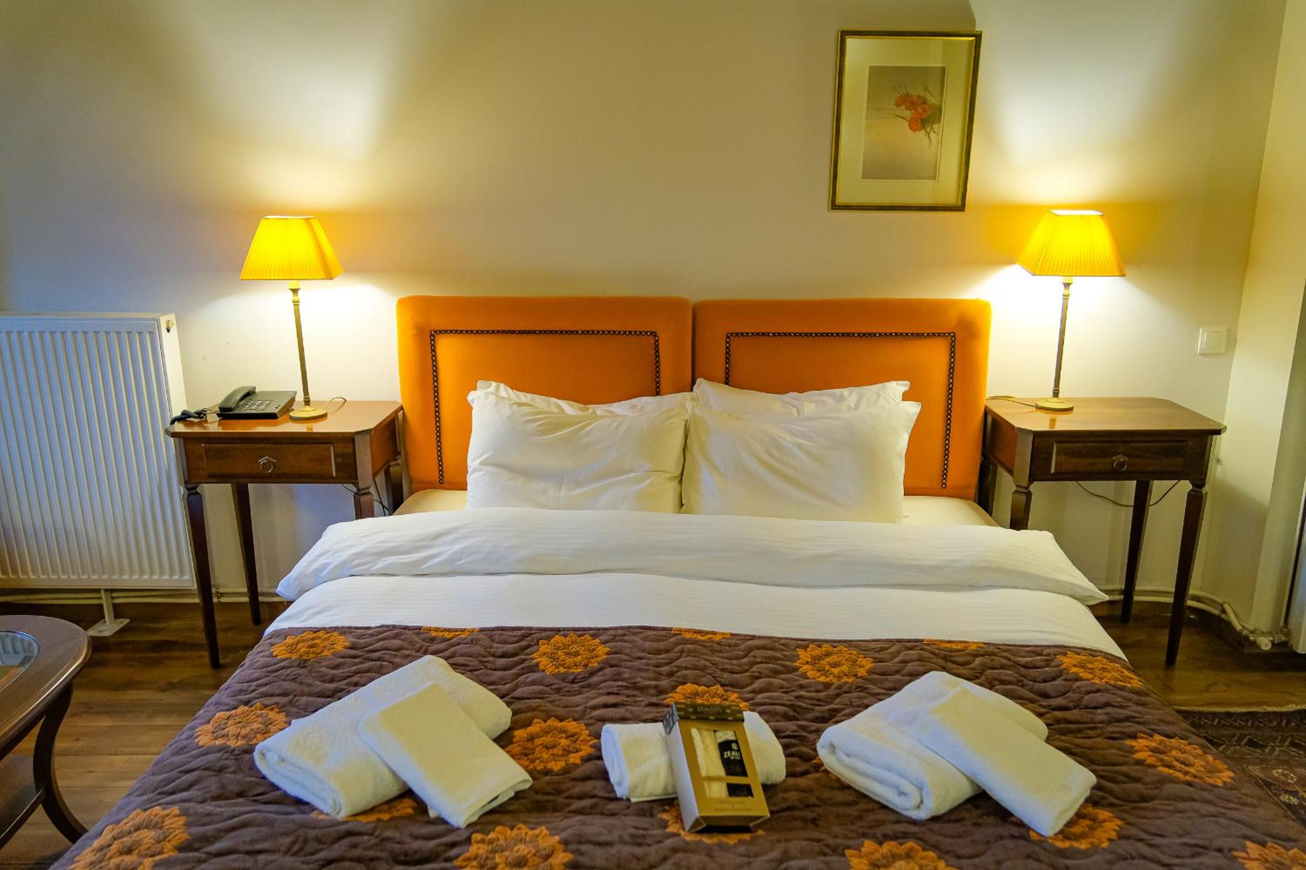 Junior Suite with Mountain View - Photo 13