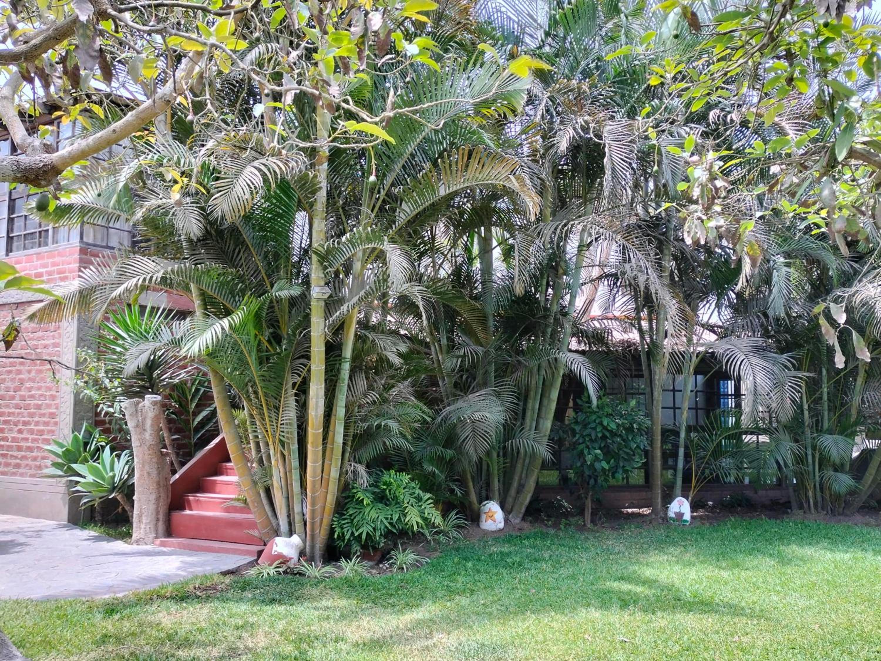 Family Bungalow photo 3