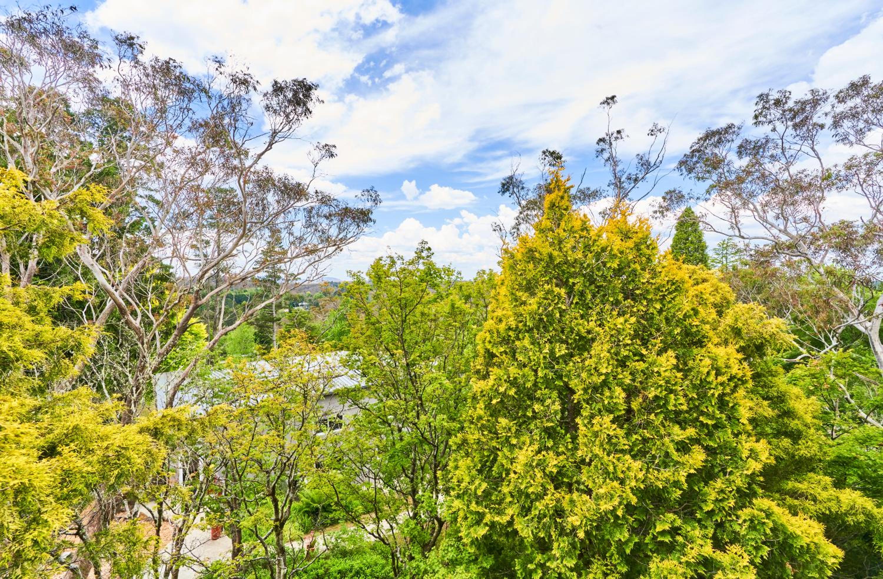 Studio with Garden View - Photo 5