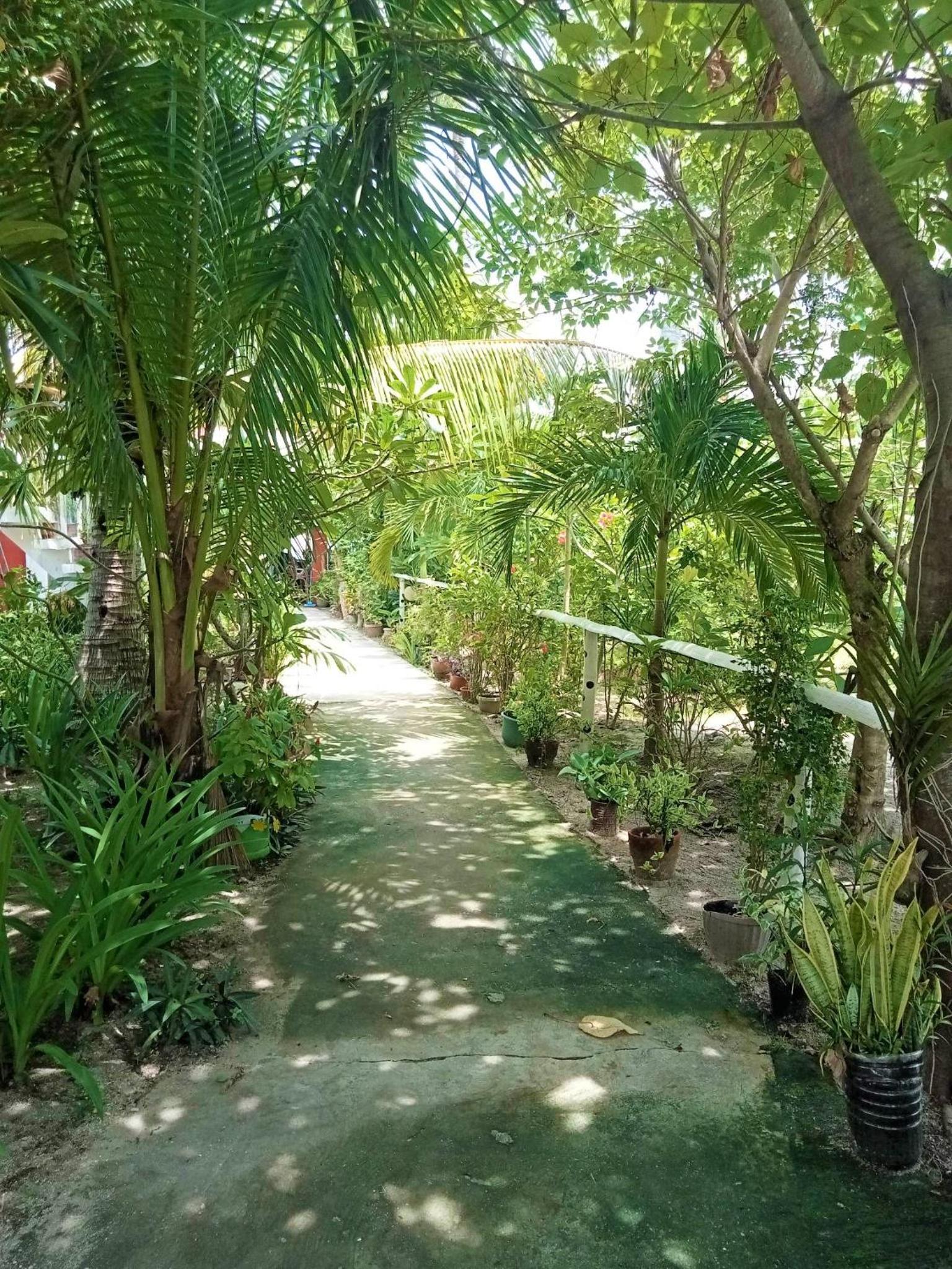 Family Double Room