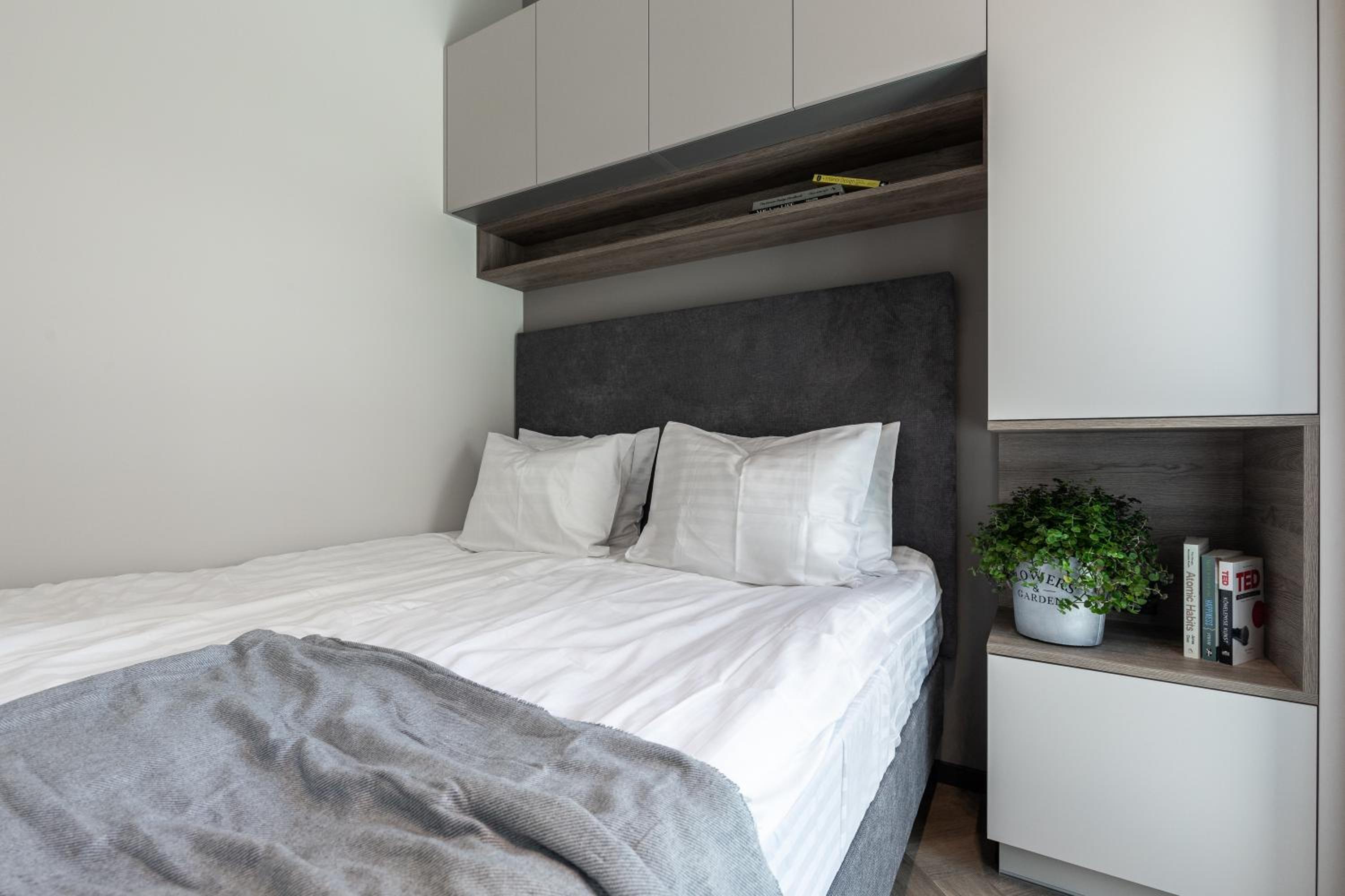 Standard King Room photo 1