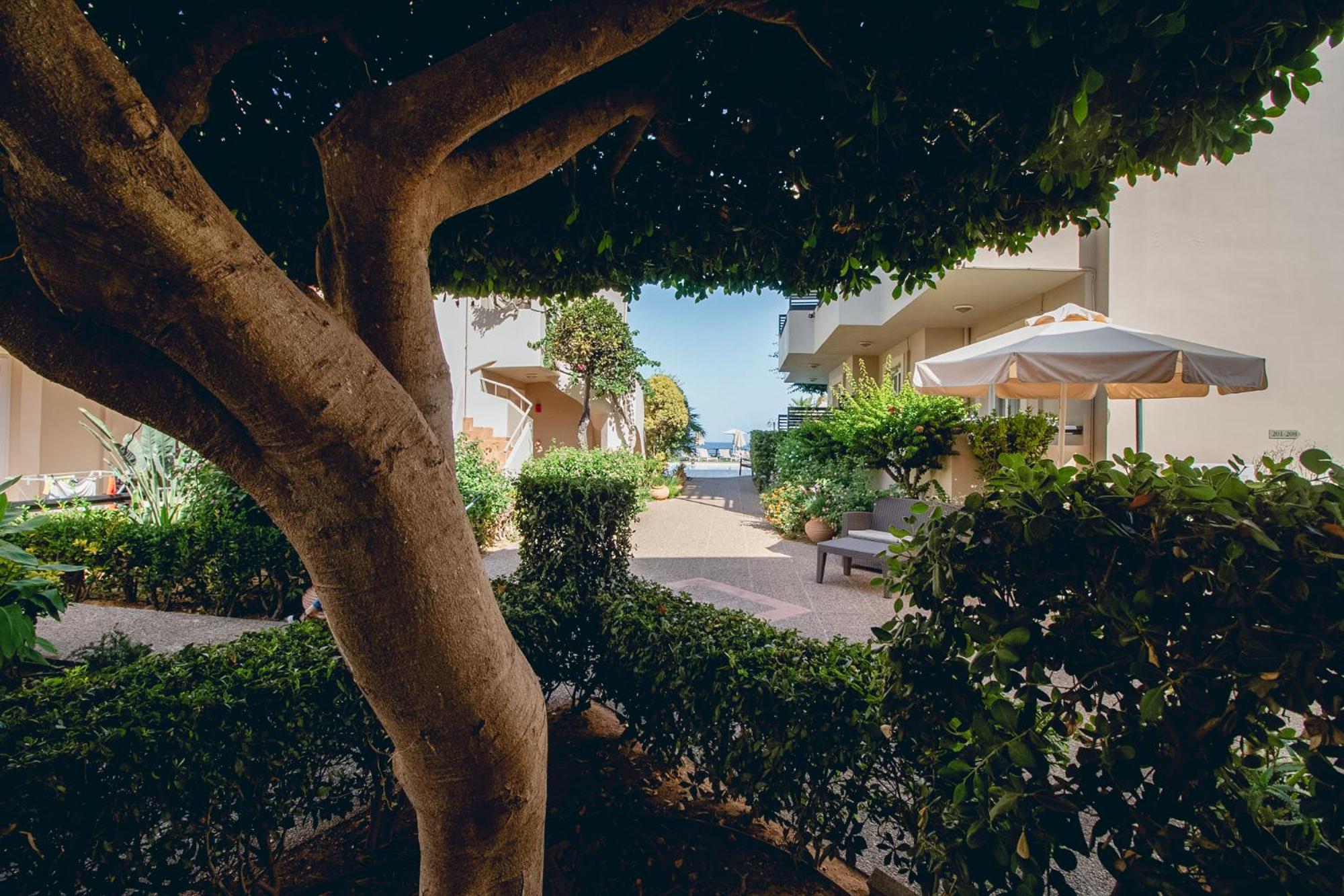 Suite with Garden View - Photo 8