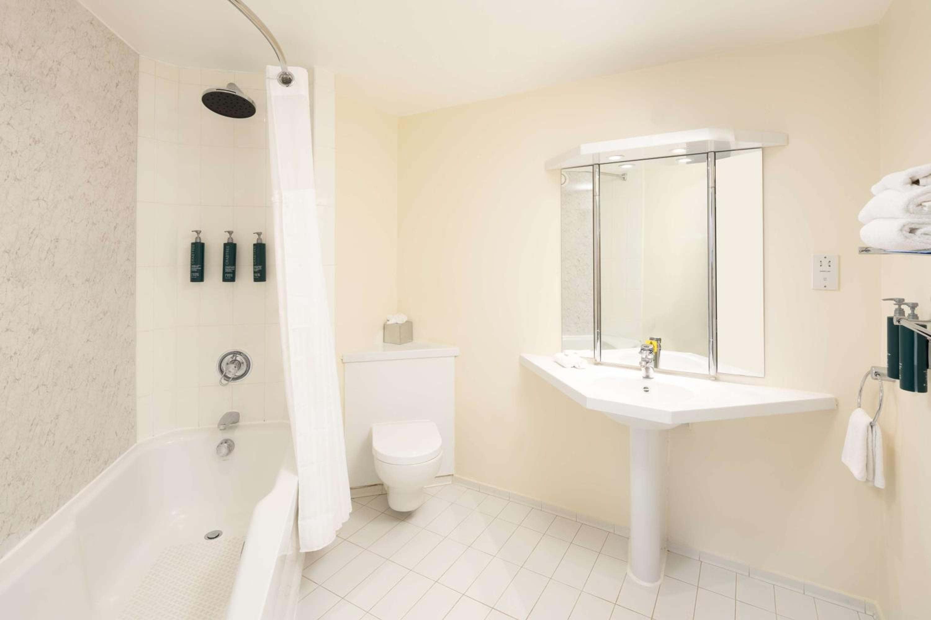 King Suite - Photo 4