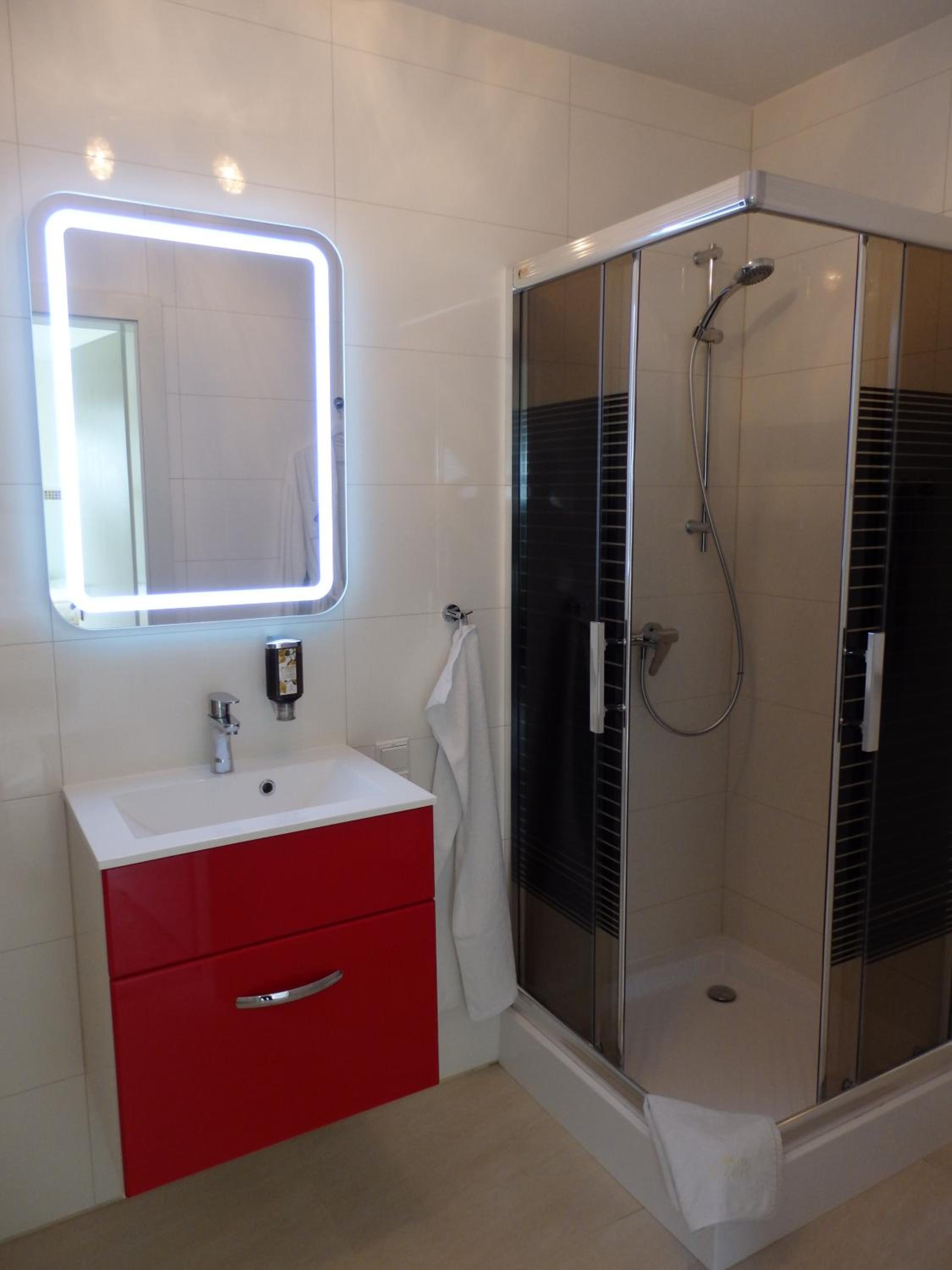 Deluxe Double or Twin Room photo 3
