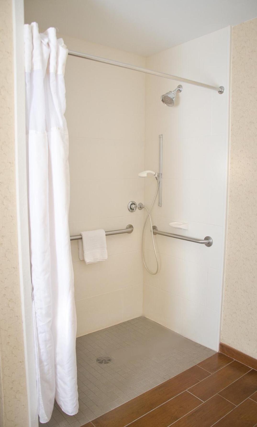 King Room with Roll-In Shower - Mobility/Hearing Accessible - Photo 3