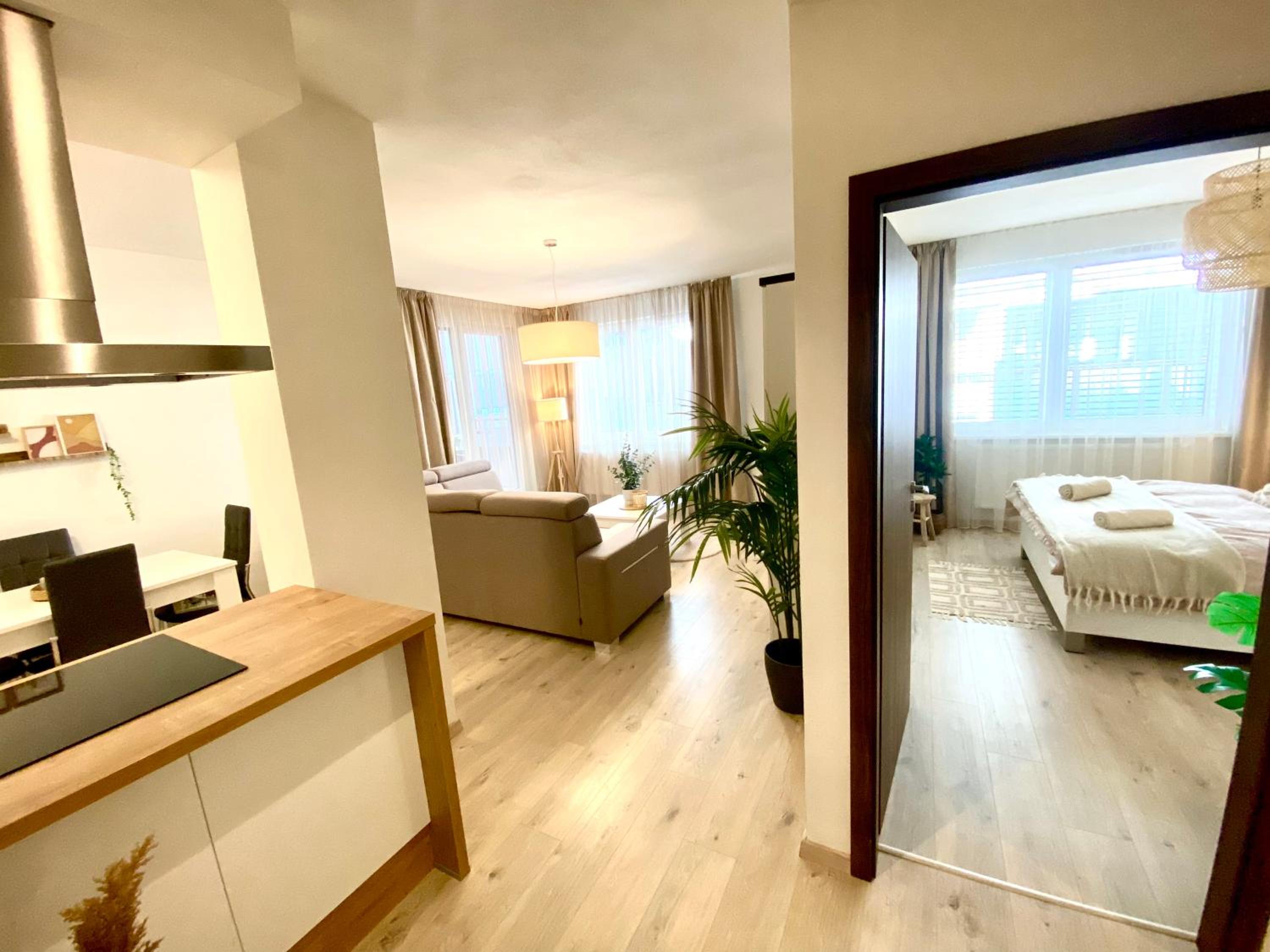 One-Bedroom Apartment photo 2