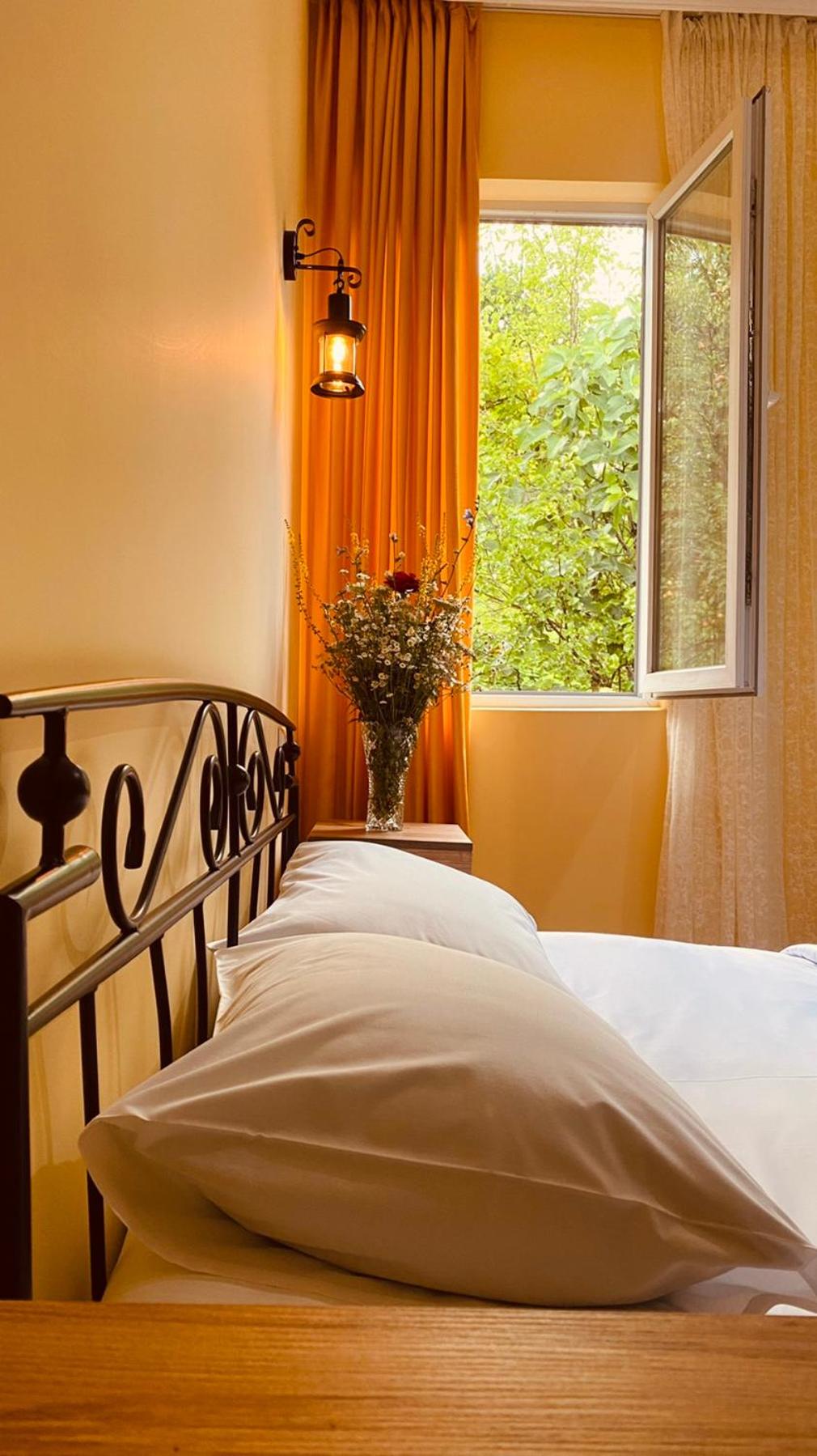 Double Room with Mountain View photo 1