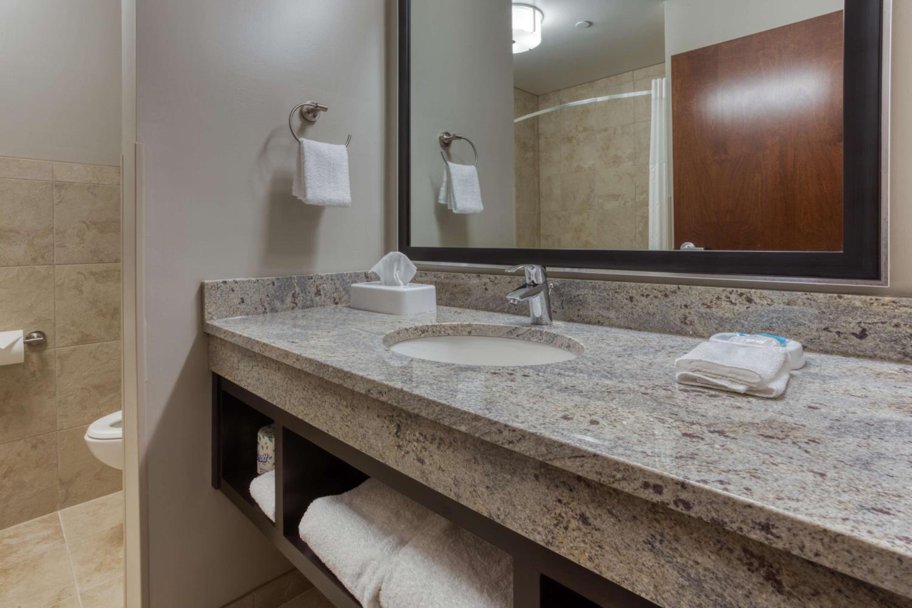 Deluxe King Room - Hearing Accessible, Shower photo 3
