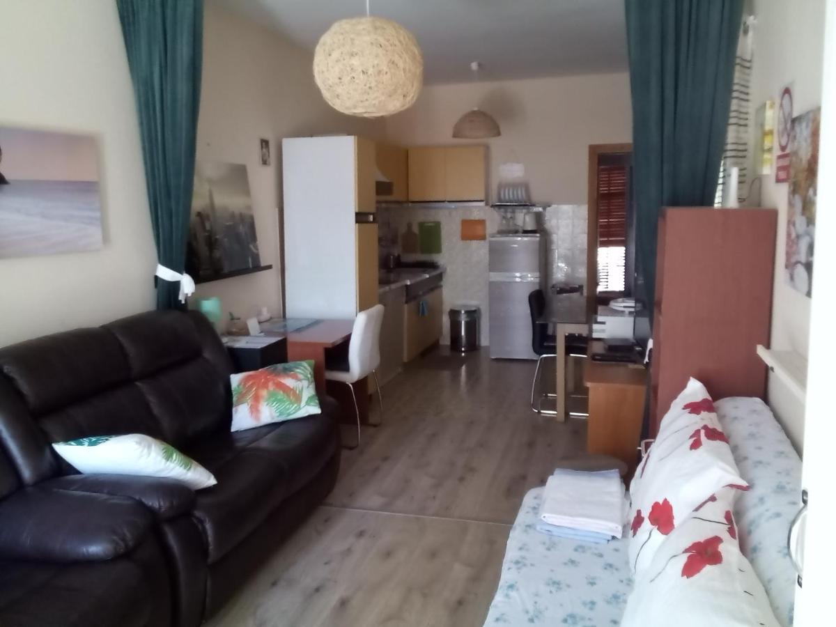Apartment with Terrace photo 2