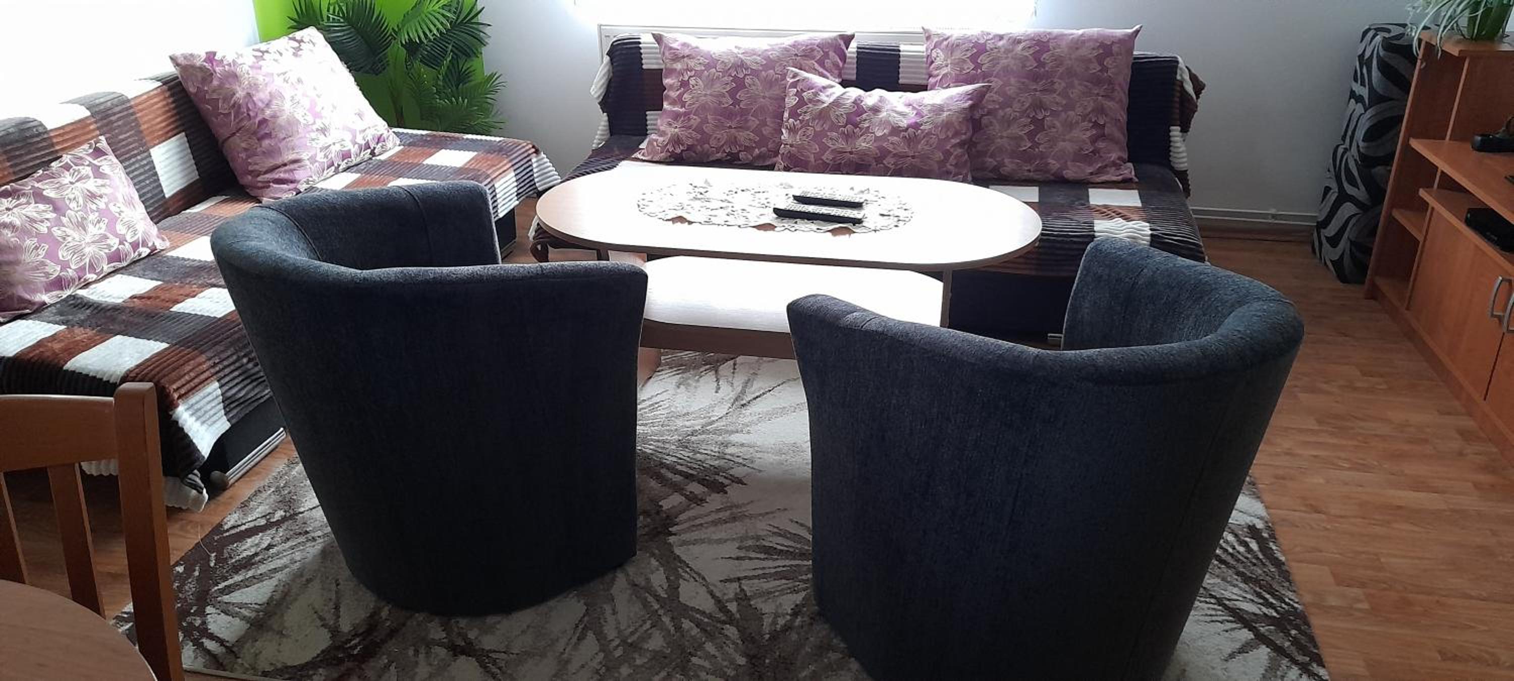 Large Apartment photo 2