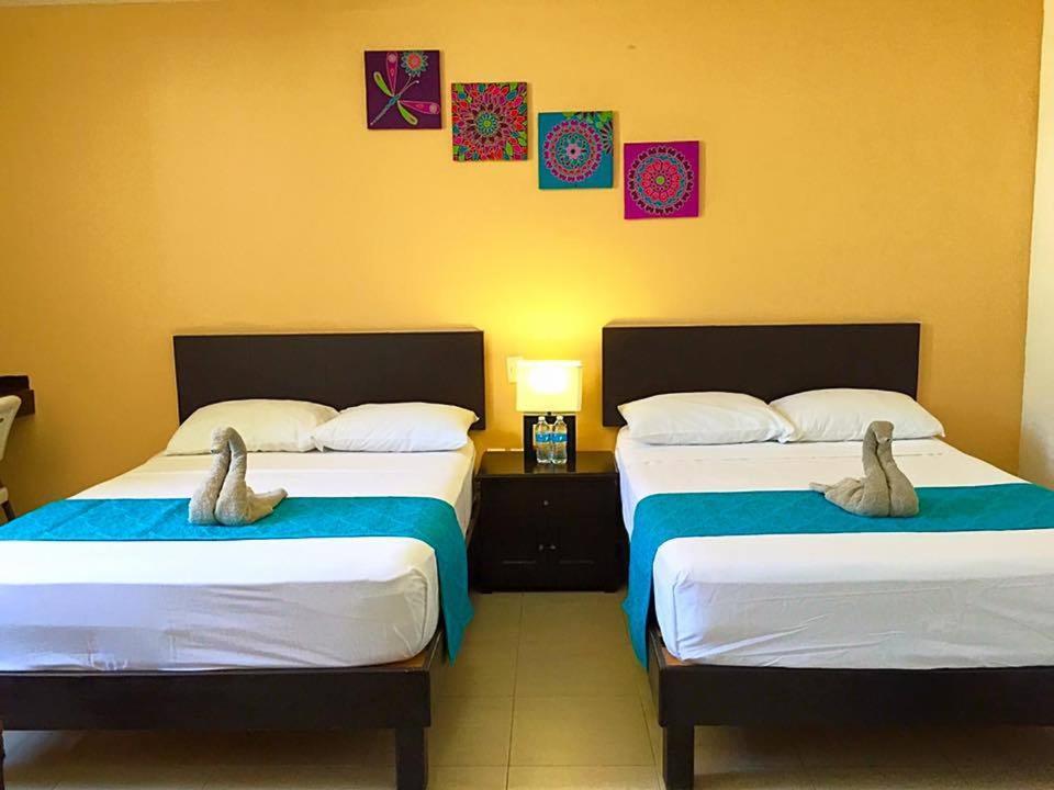 Double Room with Two Double Beds