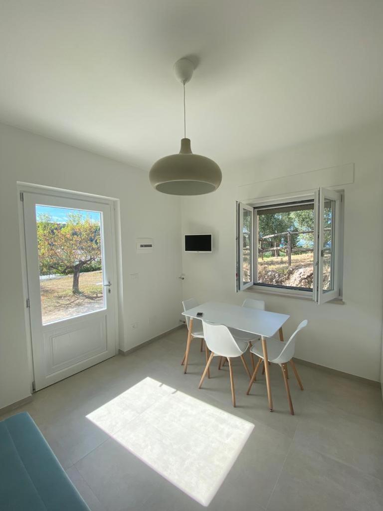 One-Bedroom Apartment photo 3