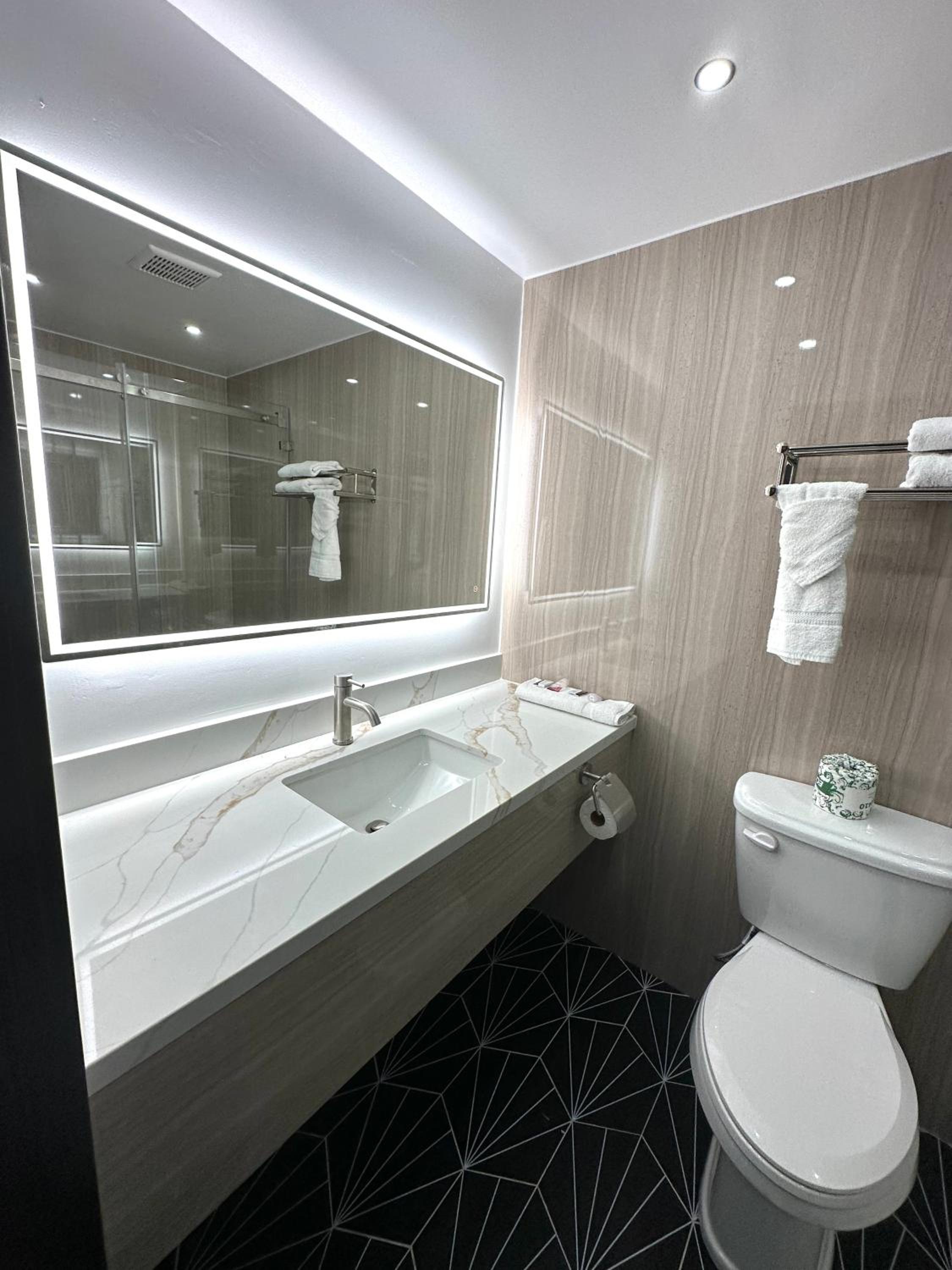 Deluxe King Room - Photo 14