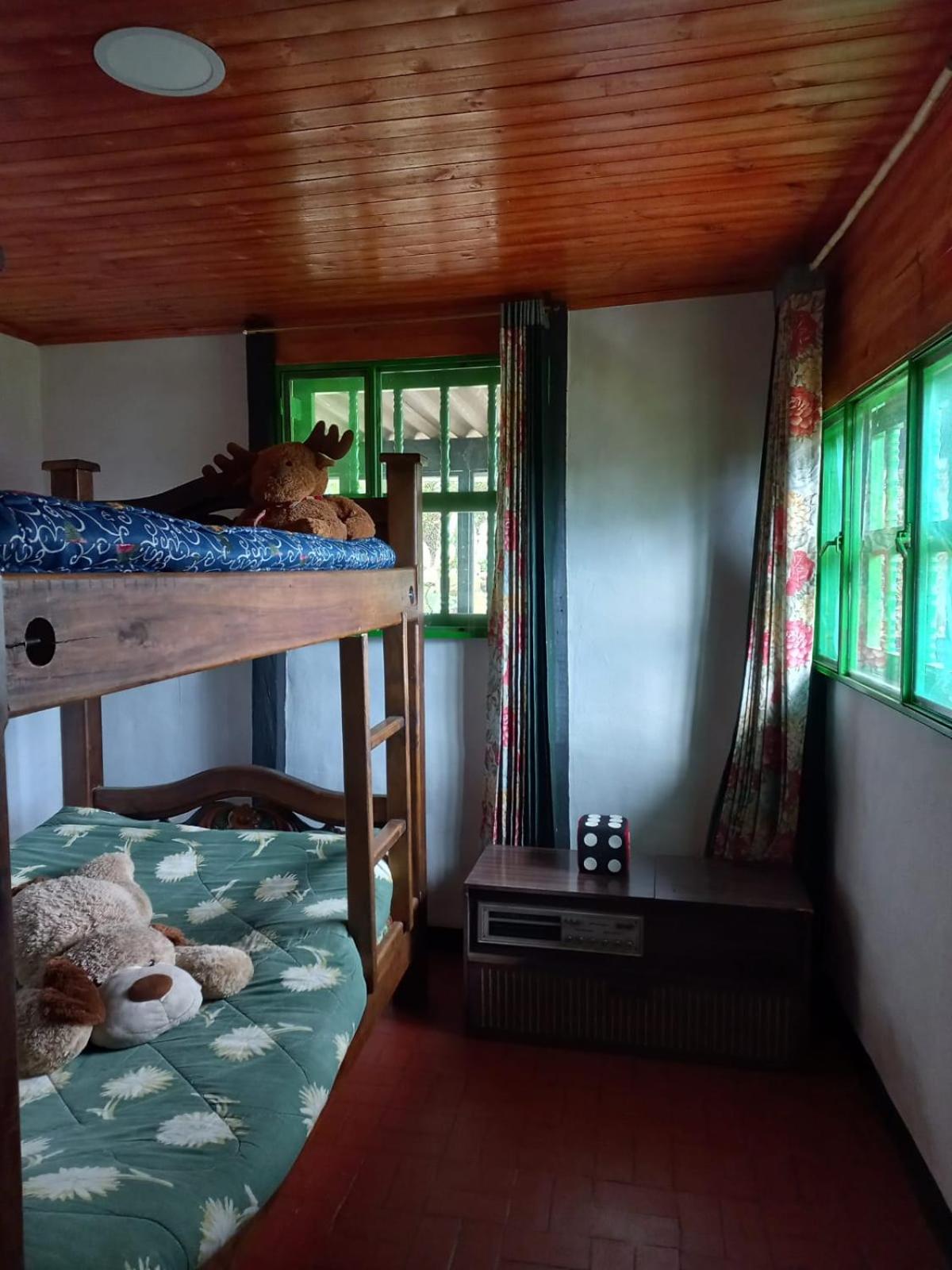 Three-Bedroom House photo 3