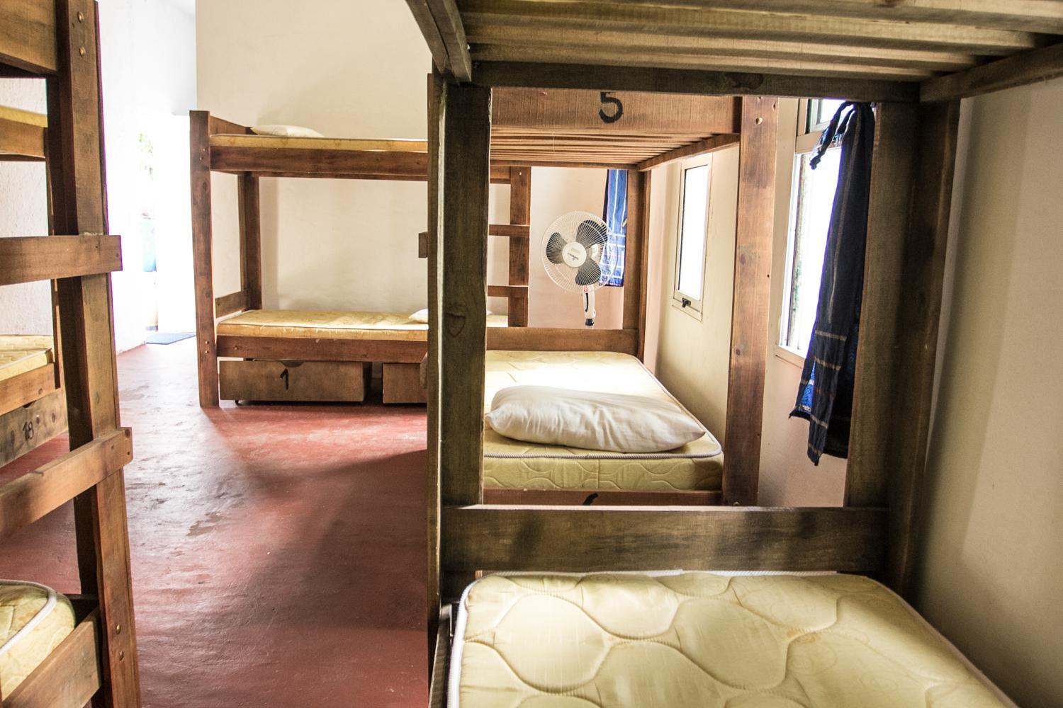 Bunk Bed in Mixed Dormitory Room photo 2