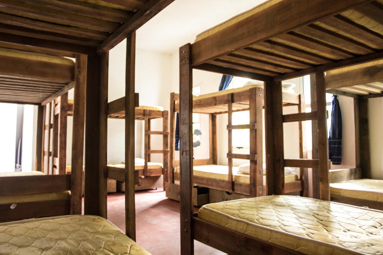 Bunk Bed in Mixed Dormitory Room photo 3