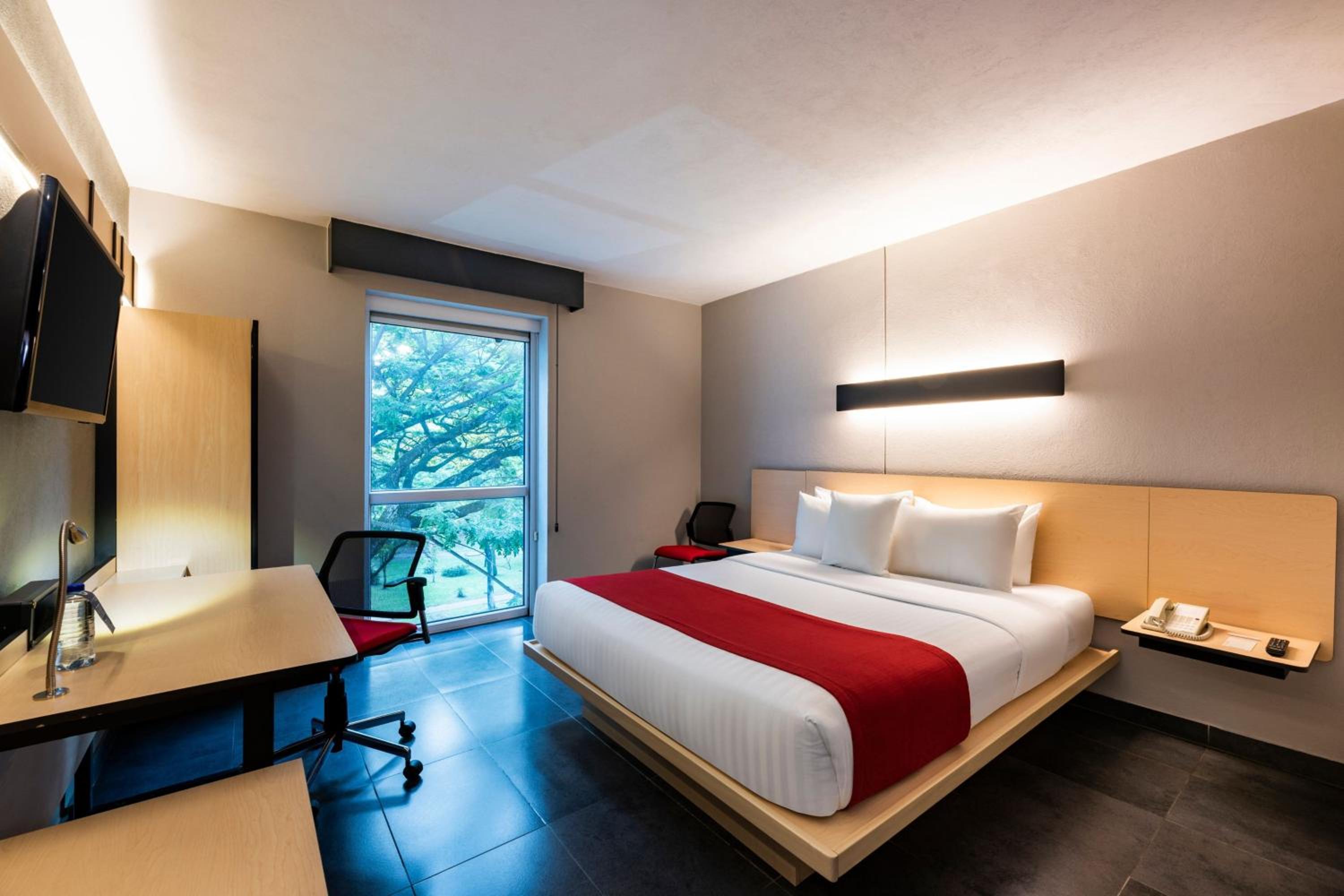 King Room photo 1