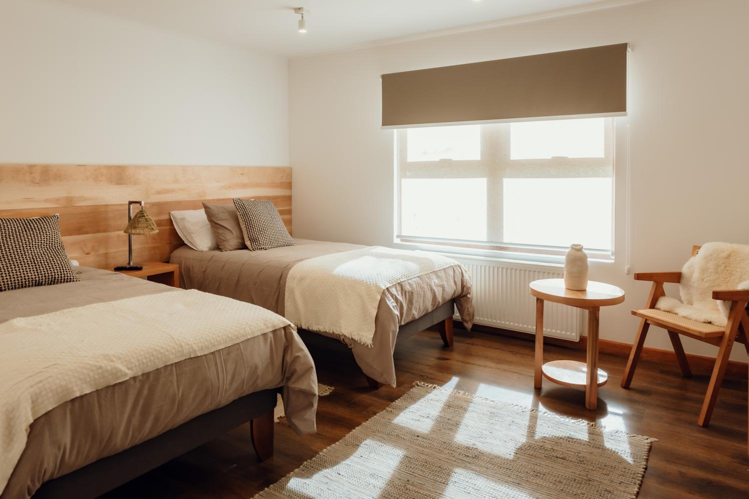 Twin Room photo 1