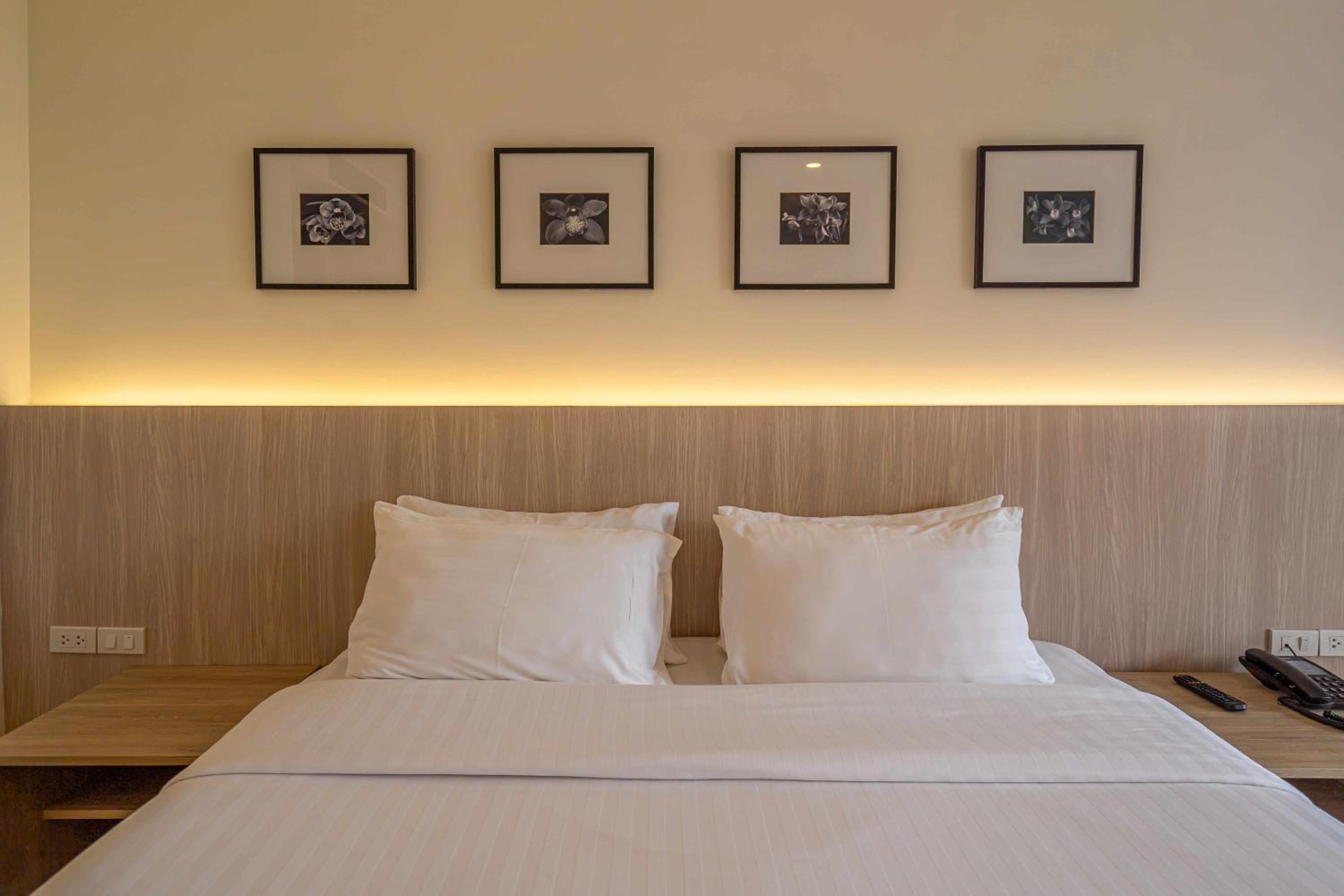 Superior Double or Twin Room - Photo 6